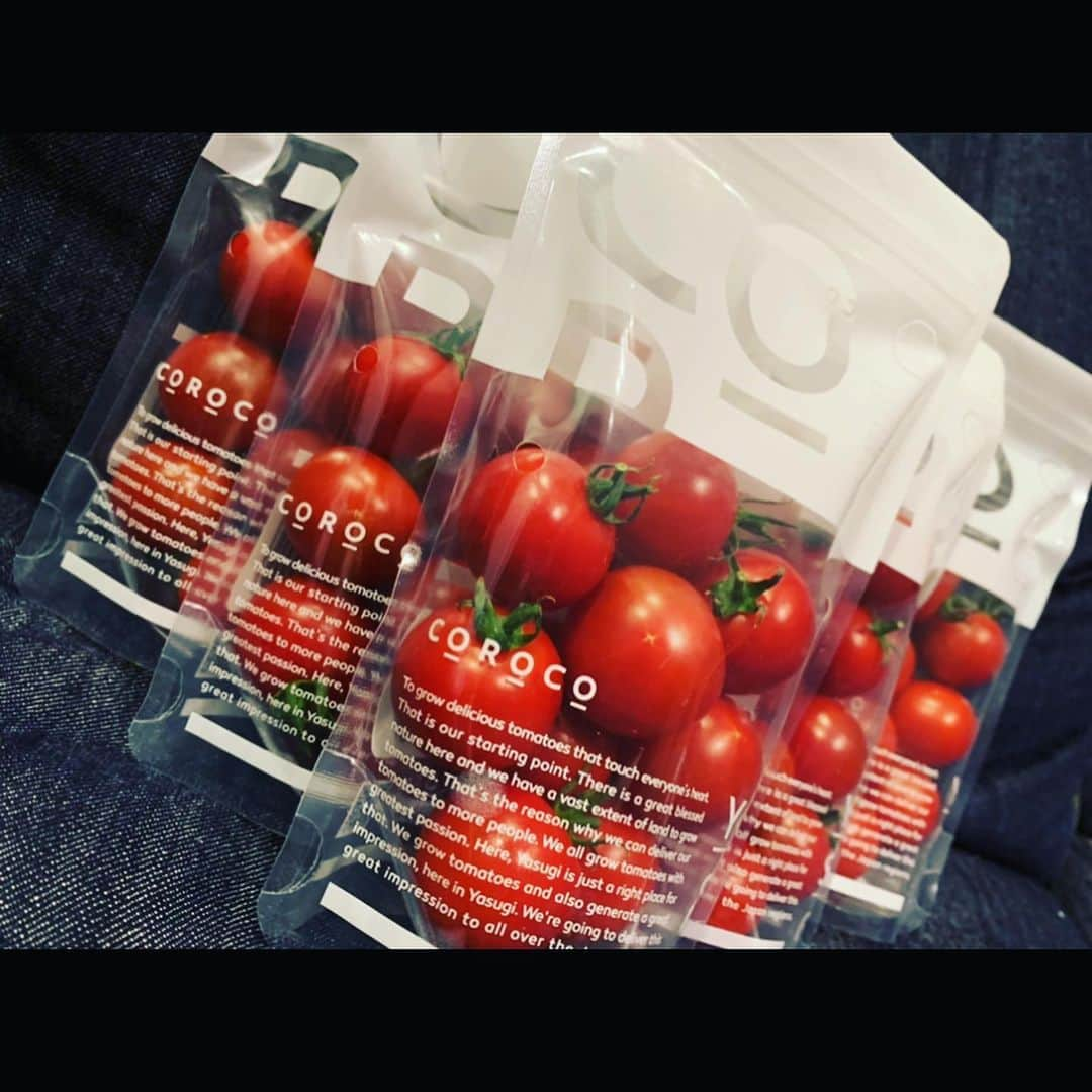 佐藤あり紗さんのインスタグラム写真 - (佐藤あり紗Instagram)「. . . 野菜の中で🍅が1番大好き❤ 特にプチトマトが栄養が高くて美味しくて大好き😘 . . 遠征先のバイキングでも普段もご飯＆おやつ代わりに トマト活🍅しています🏐 . 今回、新型コロナウィルスの影響で行き場を失ってしまった生産者さんを 支援するSPADのPRプロジェクトに参加しています🍅 . 糖度はイチゴ並みの10度以上適度な酸味もあり味に深みがある🍅は 株式会社農の郷のオンラインショップで購入できます! . 株式会社　農の郷（みのりのさと） 〒692-0025 島根県安来市穂日島112 ☎︎（0854）21-9000 @coroco_minori . #SPADコロナ支援PR #トマト #フルーツトマト #あまい #バレーボール　#スポーツ　#佐藤あり紗」5月21日 21時26分 - arisa_chu