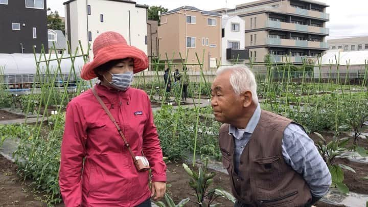 小谷あゆみのインスタグラム