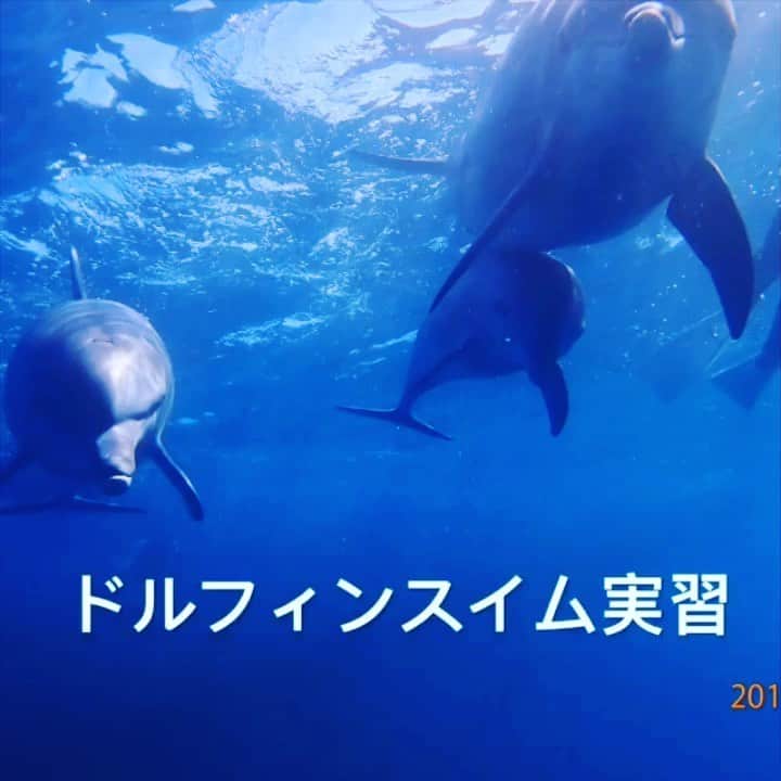 東京スポーツ・レクリエーション専門学校のインスタグラム