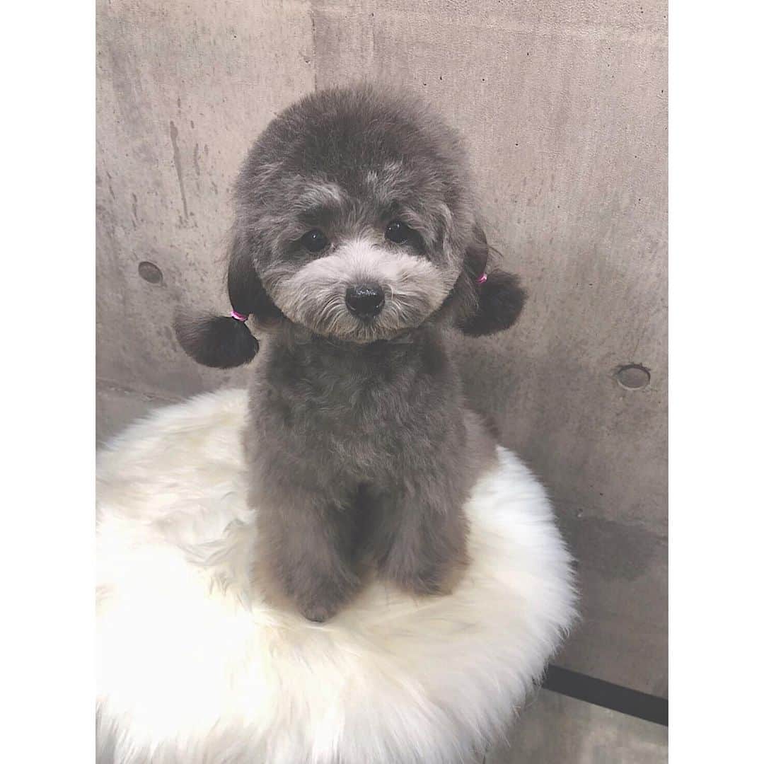 のインスタグラム：「happy birthday to honey 🖤」