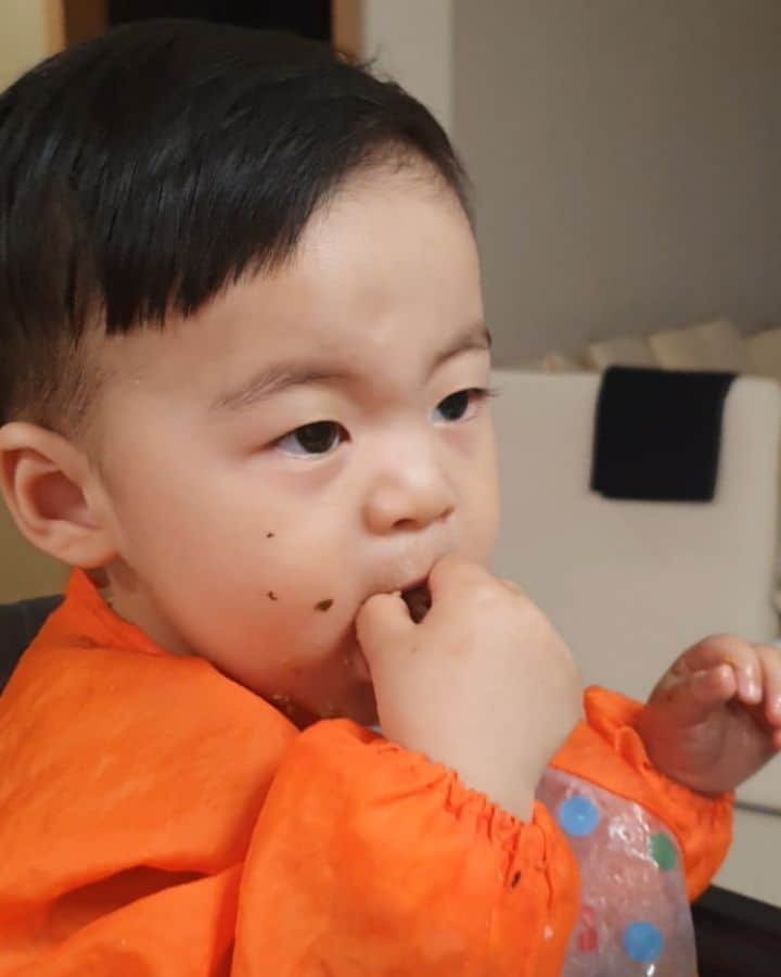 ミン・ヨンウォンのインスタグラム：「우리집 푸드 파이터~👶❣ #삼겹살 #먹방 난 분명 예쁘게 밥차려주는데..결국 엉망진창...😳 . 요즘 내가 먹는거 다 찔러보고 먹어봐야 직성이 풀리는 아기. . 접시깨지는건... 정말 다반사고..매운음식에 손 넣으려 전쟁 ..내커피랑 빵을 뺏어 먹는거 진짜 휴..🤷‍♀️🤦‍♀️ . 낯가림이 최고조라서 나랑만 밥먹고 나랑만 논다..나랑 목욕하고 나랑 화장실가고 나랑 자고.. ㅎㅎㅎ프라이버시는 아예 없는 엄마의 삶. 이런 삶도 있었구나 하하하하 너무 행복하다. #상상초월 . . . #14갤아기 #사랑해 #돌아기  #아기모델 💌#밍크뮤 👍 #리틀그라운드 #블루독 🐶매니아  #육아일기 #신혼일기 #육아맘 #육아소통 #일상 #소통 #맞팔 #데일리 #황금돼지띠아들 #오오티디  #베이비스타그램 #daddy #play #baby #babyboy #love #family」