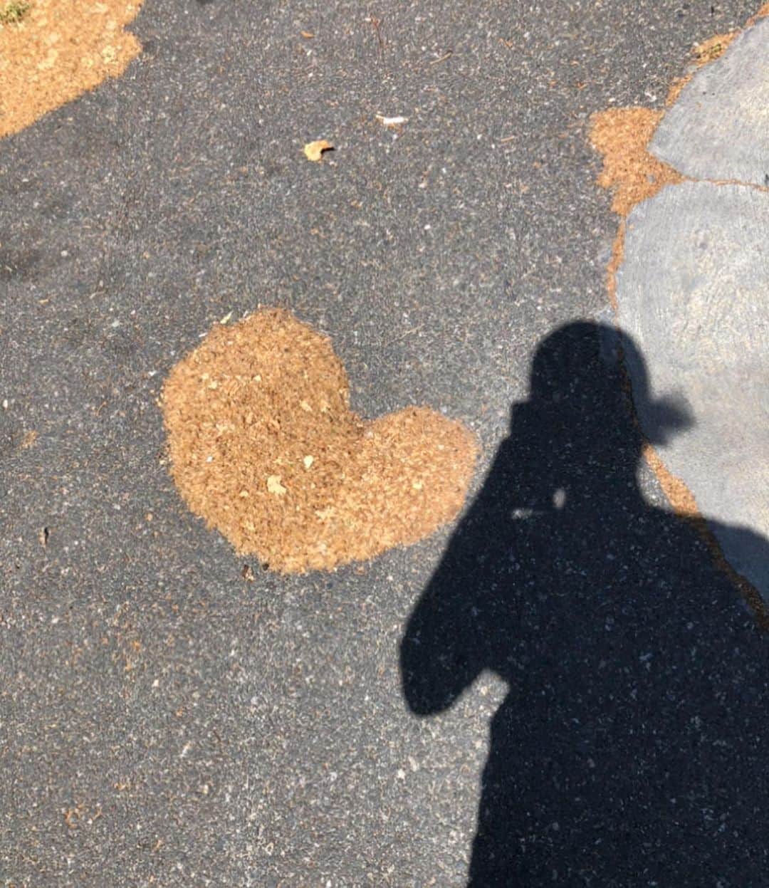 T・J・サインのインスタグラム：「Out and about on another light stroll, and the streets of Los Angeles are ablaze with ❤️ Have a lovely day! 😊☀️」