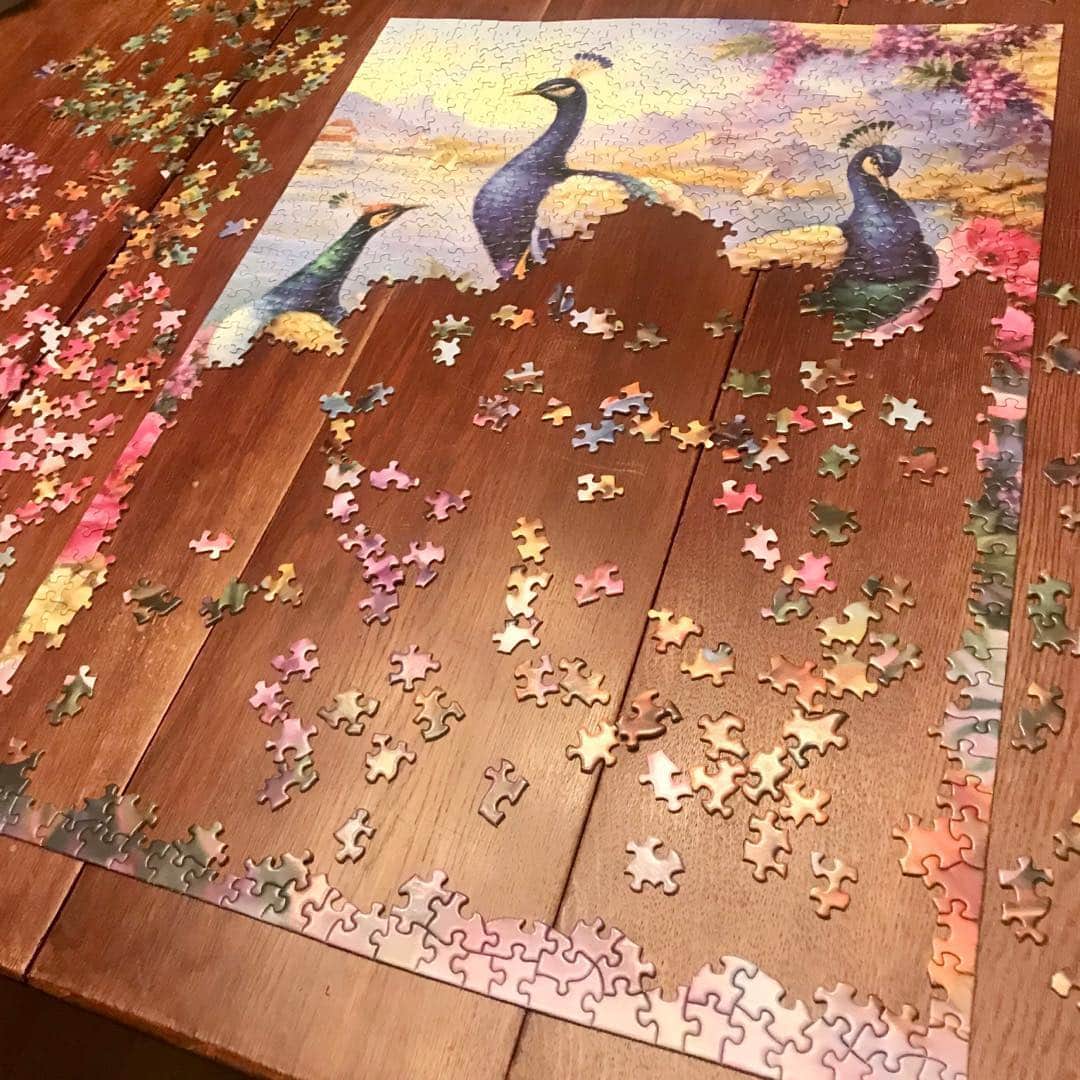ジェニファー・ビールスさんのインスタグラム写真 - (ジェニファー・ビールスInstagram)「I see you, you Vajrayana wonders. Coming after you three pretty birds. #puzzlenerd #puzzles」5月22日 3時13分 - thejenniferbeals