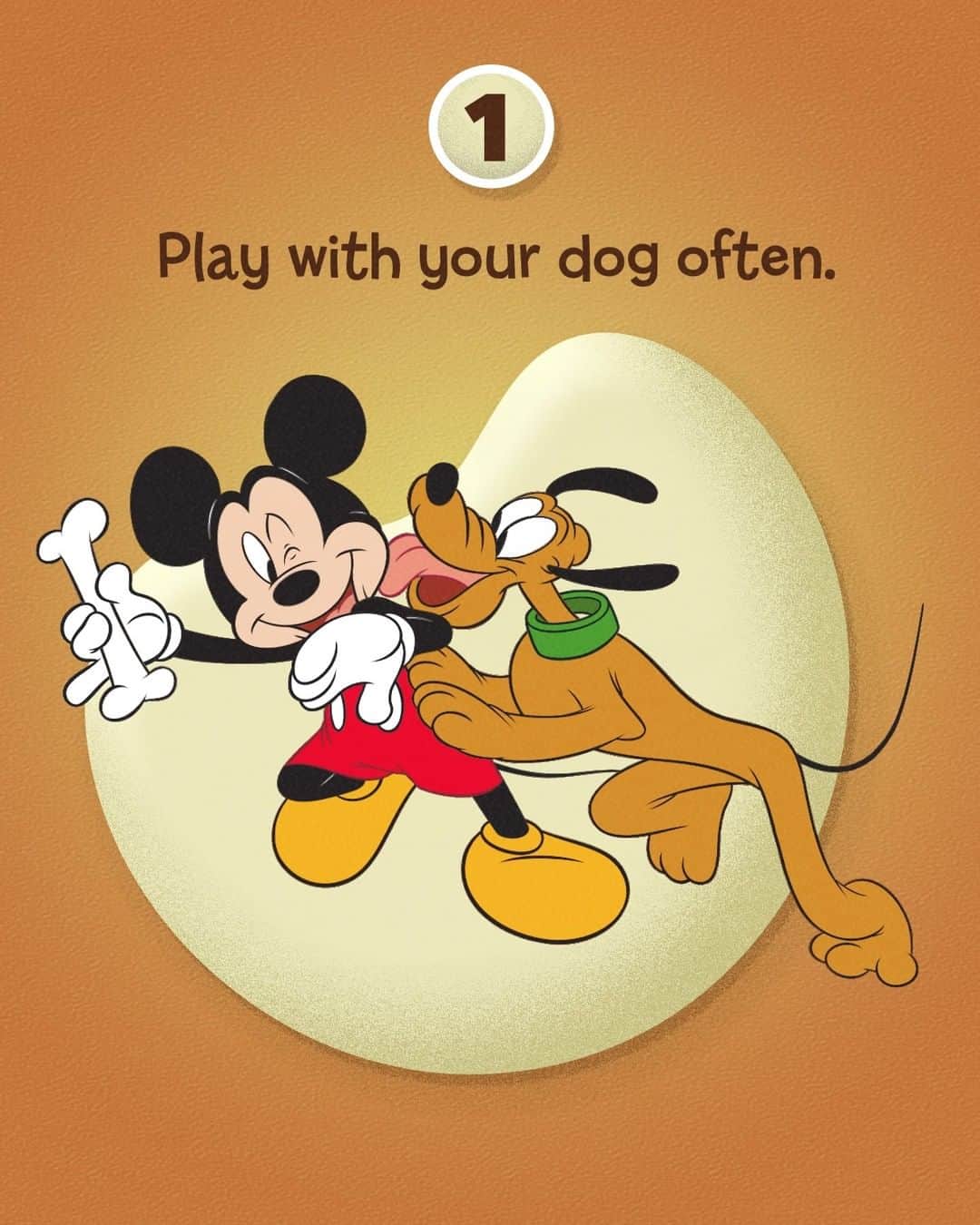 Disneyさんのインスタグラム写真 - (DisneyInstagram)「When the going gets ruff, follow these tail-wagging tips! 🐶 It's A Dog's Life is streaming on #DisneyPlus.」5月22日 4時01分 - disney
