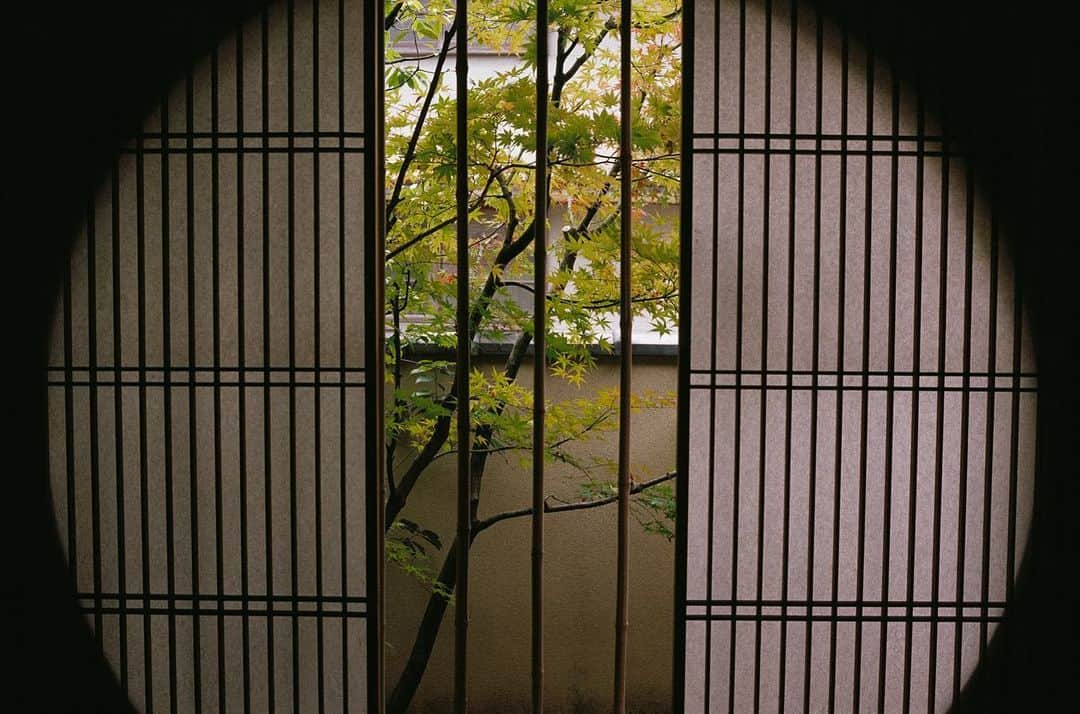 Michael Yamashitaさんのインスタグラム写真 - (Michael YamashitaInstagram)「Living art: much like a photograph, framing is essential to garden design and appreciation. A Japanese garden designer will “prescribe” the view of the garden through the use of architectural elements like windows and paper shoji screens, often indicating to the visitor the optimum spot for viewing. The designers intend observers to see the gardens at specific angles insuring that the details of the garden will not be missed and providing intimacy. In the last photograph, one section of the garden at Adachi Museum, is permanently showcased in a picture frame hung around a window to be viewed from the inside of the building as a masterpiece of living art. #japanesegardendesign #japanesegarden #livingart #prescribedviews」5月22日 4時11分 - yamashitaphoto