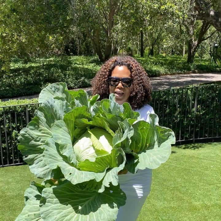 オプラ・ウィンフリーのインスタグラム：「The Lockdown has not stopped green things from growing. I get a lot of joy from gardening. Anyone else enjoy? #HarvestDay」