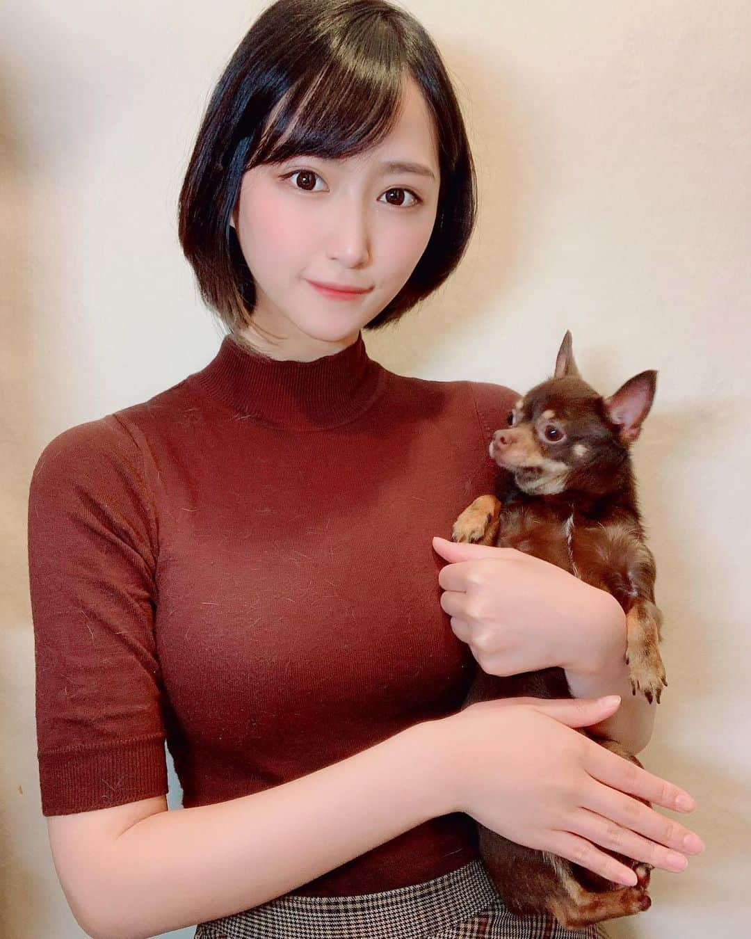 川瀬もえさんのインスタグラム写真 - (川瀬もえInstagram)「おはよう 絶対カメラ見てくれない愛犬 大事なところは隠してあげた🐶笑  #1日1川瀬#チワワ#スムチ#愛犬」5月22日 6時24分 - kawasemoe