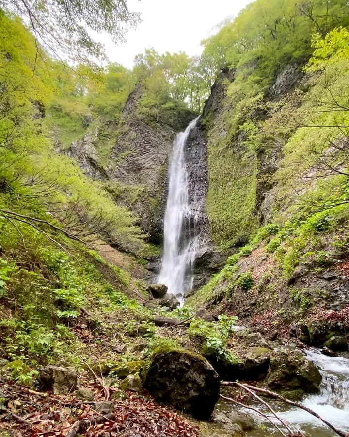 山人のインスタグラム