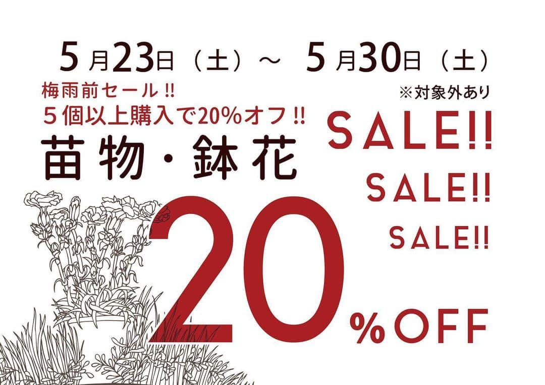 MILLE ECLAT.のグルメインスタ