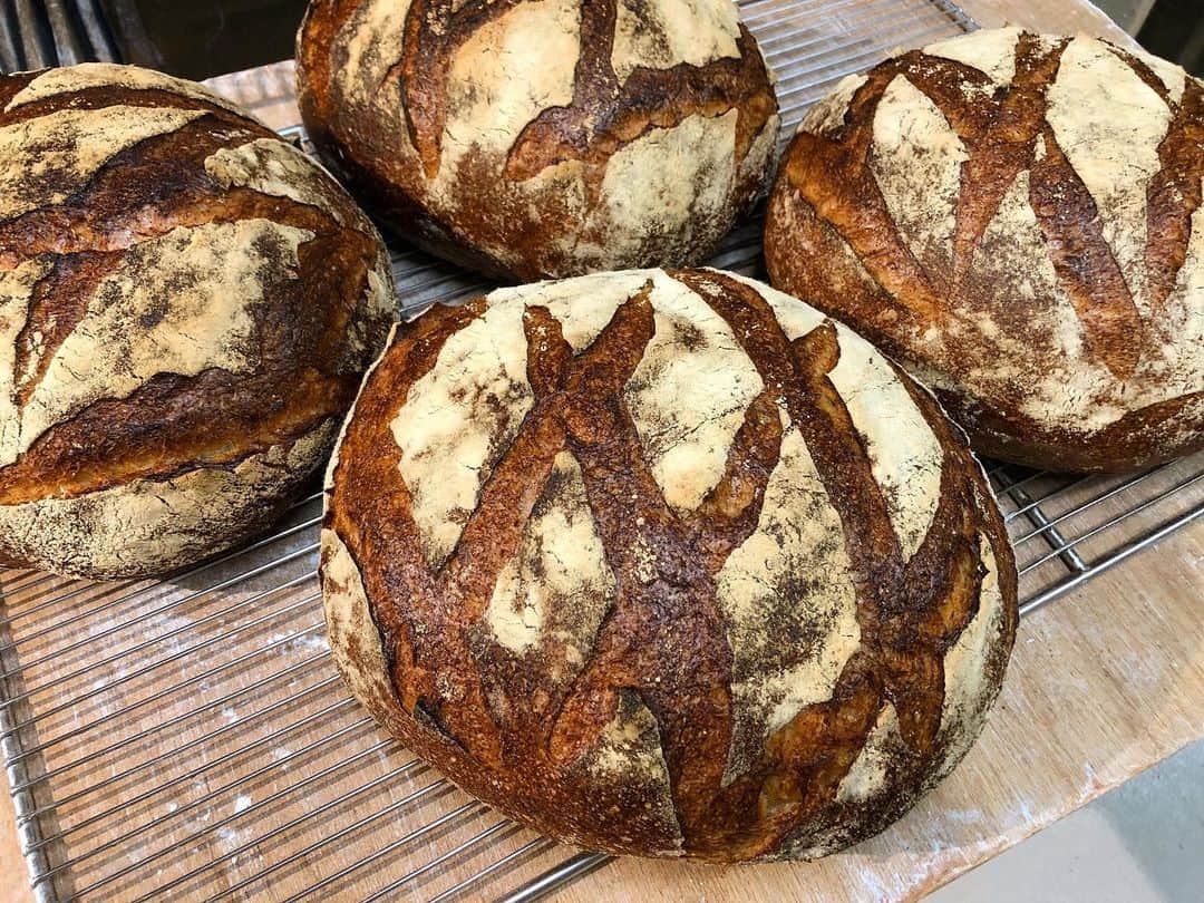 笹塚駅のパン屋さん オパンのグルメインスタ