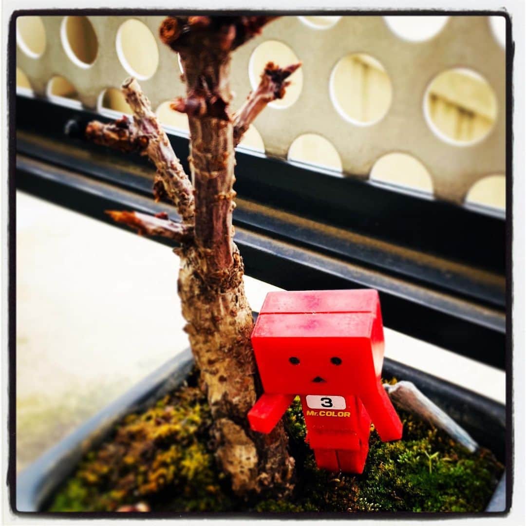 浅岡雄也のグルメインスタ