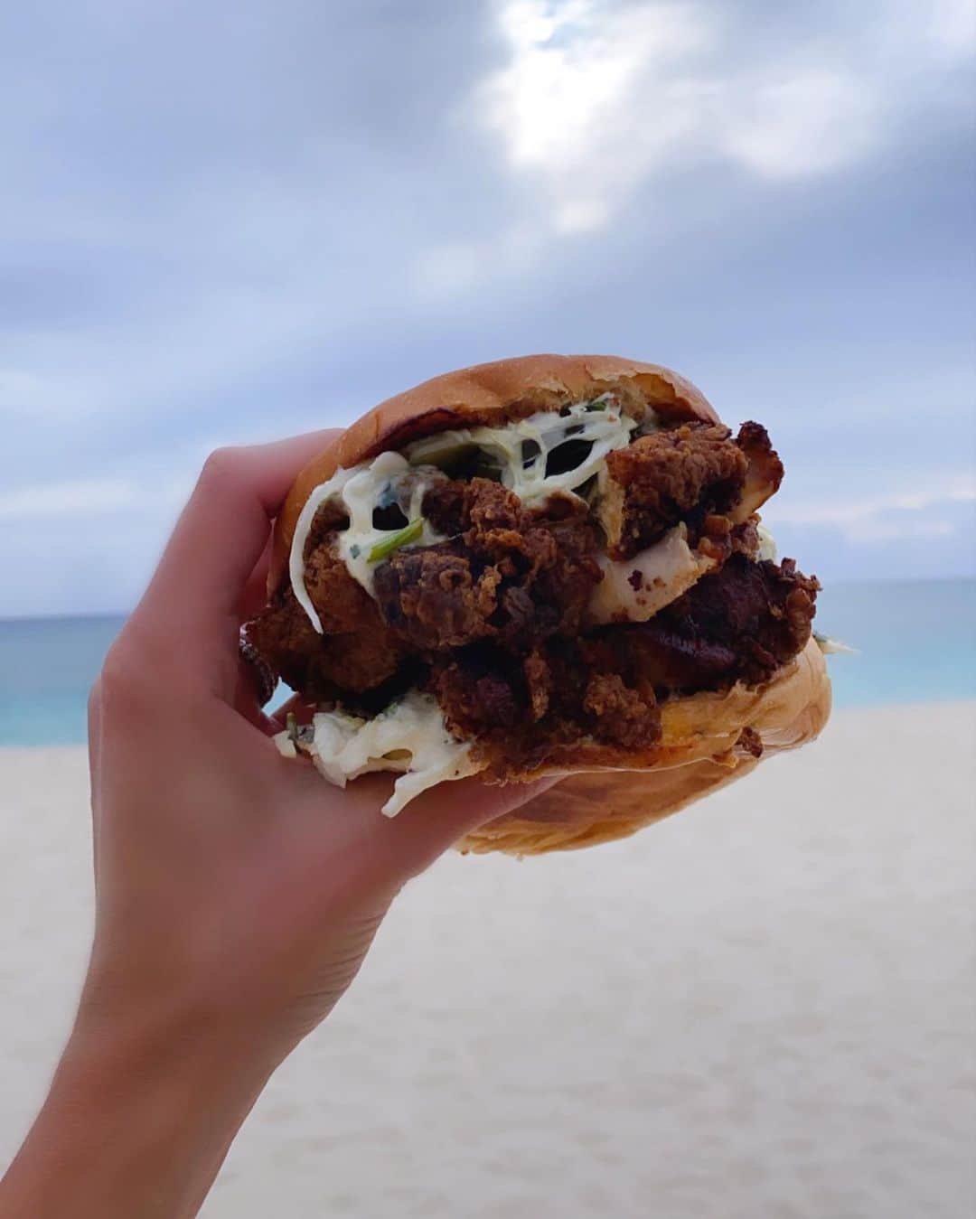 Elizabeth Chambers Hammerのインスタグラム：「Very much obsessed with this fried chicken sammie. Thank you, @tillies! #dinelocal #supportsmallbusiness」