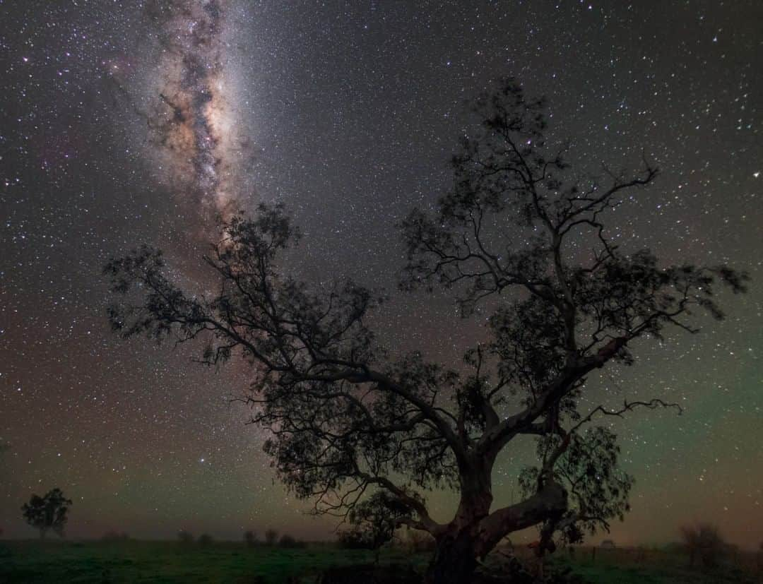 National Geographic Travelさんのインスタグラム写真 - (National Geographic TravelInstagram)「Photo by @babaktafreshi | At midnight in the Australian outback, under an ocean of stars, the branches of this gum tree connected me to the universe beyond our tiny planet. Less than a hundred years ago, everyone could look up and see a spectacular starry night sky. Today most city skies are virtually empty of stars. There is a new generation that has never seen the Milky Way. Natural night sky has become a forgotten part of nature, but it is an essential element of our environment, worthy of preservation.  Learn more @babaktafreshi and on International Dark Sky Association @idadarksky. #twanight #lightpollution #darksky #outbackaustralia」5月22日 9時04分 - natgeotravel