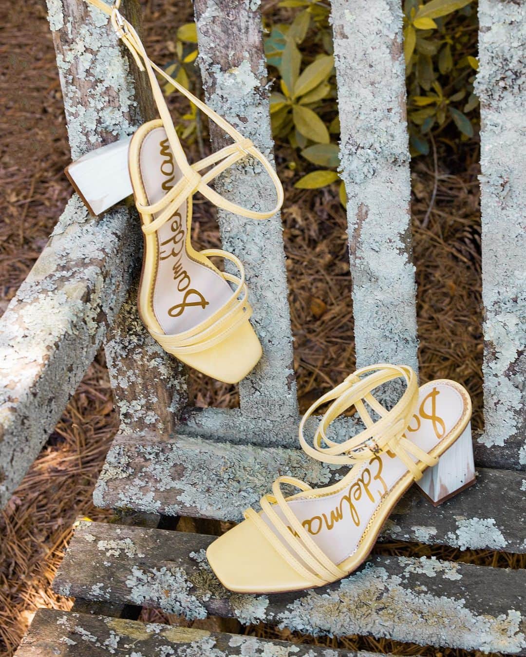 サムエデルマンのインスタグラム：「How do you honeydew 🍈  #SamEdelman」