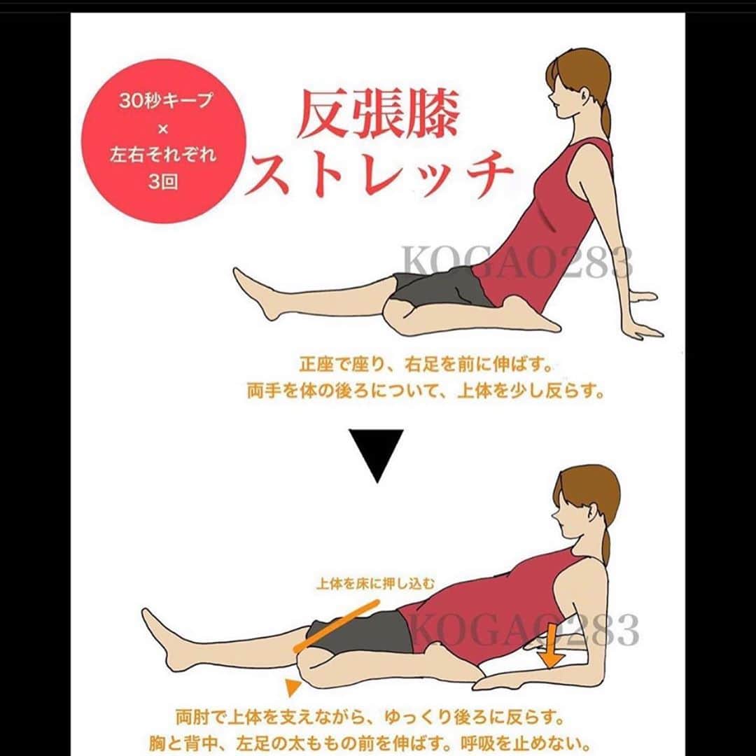 kogao283さんのインスタグラム写真 - (kogao283Instagram)「腰痛 反張膝  #太ももストレッチ❷ 大腿四頭筋は太ももの前面にある筋肉で、ひざを伸ばす膝関節の伸展動作と太ももを前に挙げる（股関節の屈曲）動作、骨盤を立てる（骨盤の前傾）動作の際に働いています。  この筋肉が硬くなると、ひざを深く曲げられなくなったり、太ももを体幹の後ろに伸ばす（股関節の伸展）動作の関節可動域が小さくなってしまいます。 筋力が弱くなると、太ももを前に高く挙げられなくなったり、ひざを真っ直ぐに伸ばす動作が困難となります。  もも前の筋肉の張り、凝りを緩和したい人、膝を曲げる動作を柔らかくしたいにオススメのストレッチです。  また 前太腿 太腿横が硬くなってるので #フォームローラー など で解す のもオススメです。 フォームローラーのやりすぎは 筋断裂をおこしますので 1箇所 30～60秒以内でお願いします✨  動画参照 フォームローラー TRIGGERᴾᴼᴵᴺᵀGRID」5月22日 10時41分 - kogao283