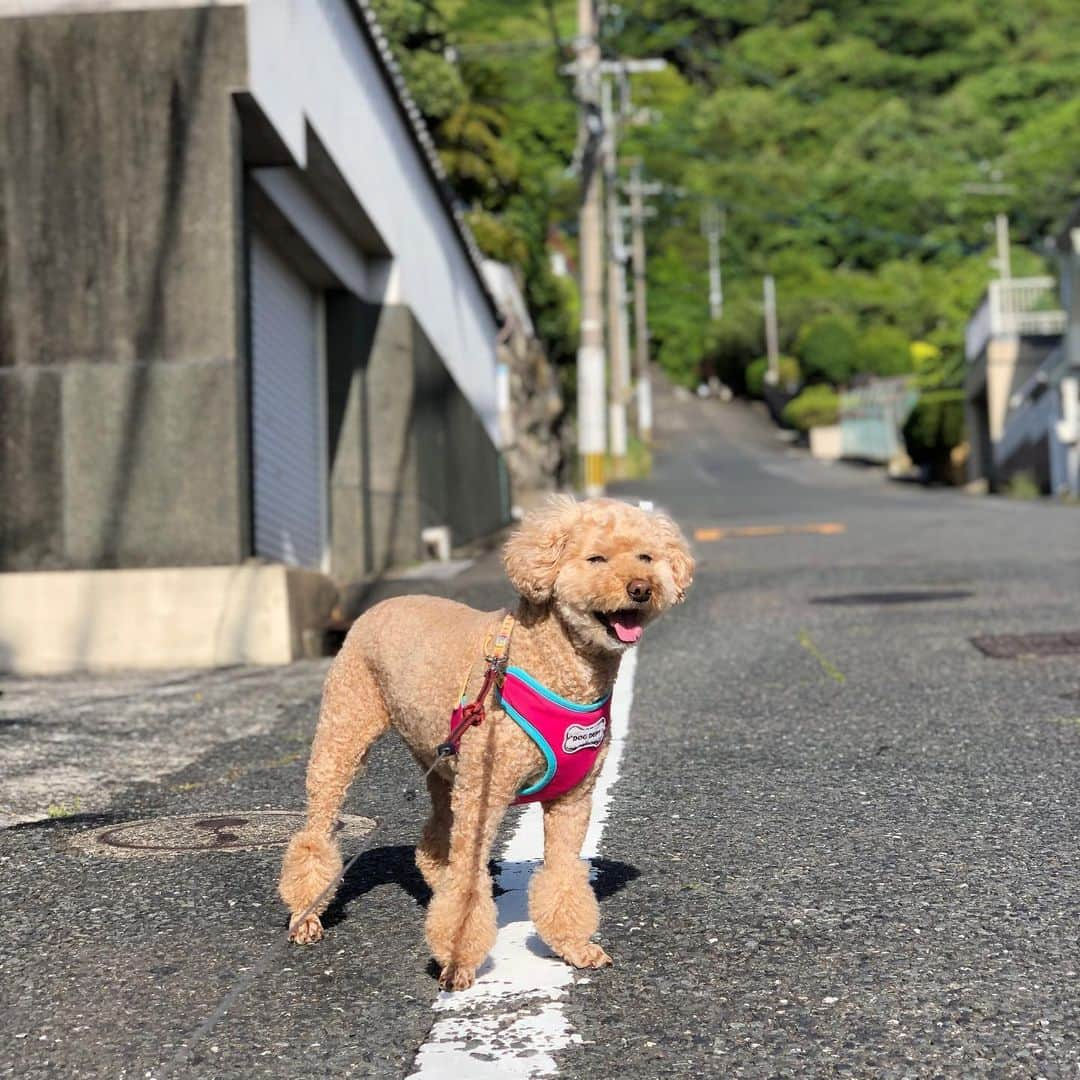 佐伯珠音のインスタグラム：「眩しいらしい😎」