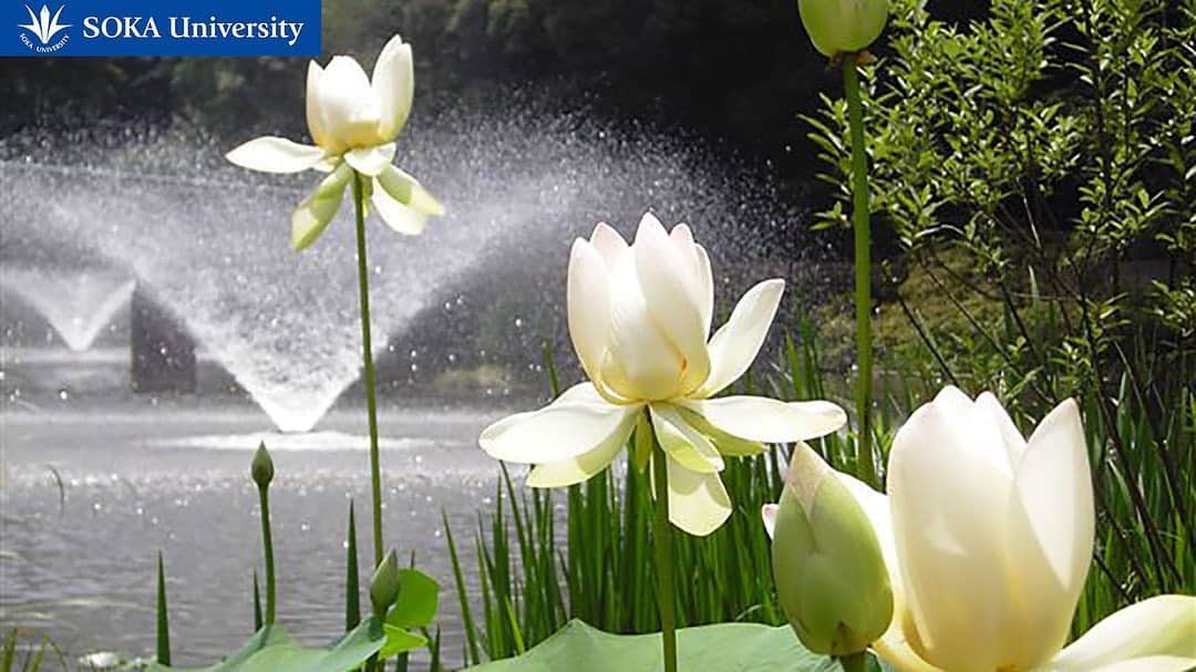 Soka Universityさんのインスタグラム写真 - (Soka UniversityInstagram)「Background wallpapers available for use during your online classes on zoom ❷ オンライン授業や会議で使用できる「創大バーチャル背景画像 Vol.1」❷ https://www.soka.ac.jp/topics/2020/05/4810/  #discoversoka #sodaigram #sokauniversity #hachioji #campuslife #universitystudent #zoommeeting #zoomclasses #studentsuccess #spring2020 #photosoftheday #創価大学 #八王子 #キャンパス #キャンパスライフ #大学 #ズーム #授業 #5月」5月22日 11時11分 - sokauniversity