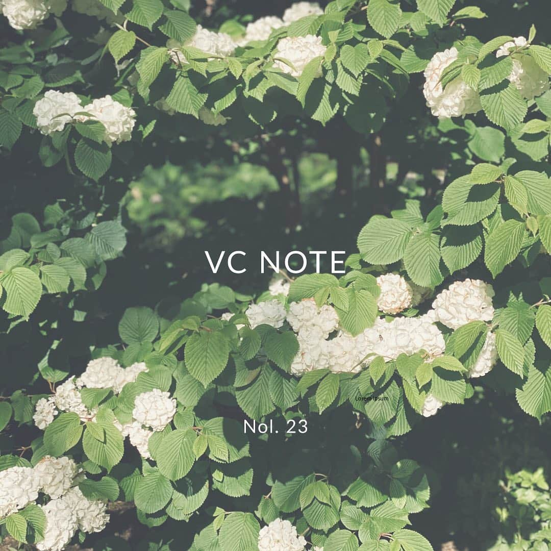 Vasic News In jpさんのインスタグラム写真 - (Vasic News In jpInstagram)「”VASICウェブサイトにてVC NOTE Vol. 23公開”  VASICのバッグ情報からNYのライフスタイルなど様々な内容を配信しているVASICウェブサイト内コンテンツ “VC NOTE” を更新いたしました。 - - “Tips for Life at Home”第3弾では、  お家時間のアイディアとしてStay-at-Homeレシピをご紹介しております。 お家を充実させるための、野菜が主役のおやつはいかがでしょうか。今回もすぐに参考にしていただけるような簡単なレシピです。  ぜひ最新のVC NOTE Vol.23「Tips for Life at Home」をご覧ください。 - — VC NOTEはプロフィールのURLよりご覧いただけます。 —  #vasic #vcnote #vol23 #tipsforlifeathome #recipe #stayathome #lifestyle #おうち時間 #vasicnews」5月22日 11時17分 - vasic_japan