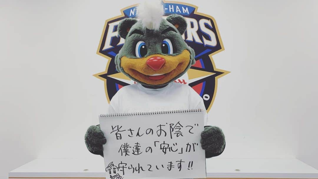 北海道日本ハムファイターズ フレップさんのインスタグラム写真 - (北海道日本ハムファイターズ フレップInstagram)「🏠🦊🐿🐻🏠 まだまだ長い戦いの続く、新型コロナウイルス対策。 そんな中、医療現場の最前線で戦う医療従事者の皆さんへの敬意と感謝を込めて、 ファイターズのユニフォームを「白衣」にアレンジした「THANKS MEDICAL WORKERS Tシャツ」 を、いま受注販売で受け付けています。 この収益の一部は、ファイターズ基金を通じて医療現場への寄付に活用されます。 受付は6月1日（月）まで。 ぜひこの「白衣」で、皆さんも医療現場へのサポートにご参加ください。 詳しくは球団公式オンラインストアをチェックしてくださいね！ ・ そして今日は金曜日。 毎週金曜日正午、私達の命を支えてくれる皆さんへ感謝の拍手を送る 「Friday Ovation」 に、フレップ・ポリー・B☆Bも参加してみましたよ！ 👏 👏 👏 #lovefighters #羽撃く #フレップ #ポリーポラリス #BB212 #thanksmedicalworkers #FridayOvation #医療従事者のみなさん #歯医者さんや介護職のみなさん #頑張る全てのみなさんに #頑張る自分に #拍手とエールを贈ろう #ありがとう」5月22日 11時54分 - frep_the_fox