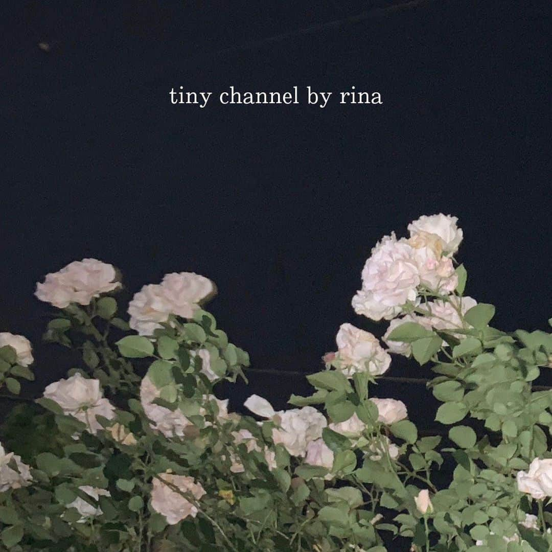 SCANDALさんのインスタグラム写真 - (SCANDALInstagram)「RINAのYouTubeチャンネル 『tiny channel by rina』がスタート！本日(5/22)20:00〜に第一弾の動画をアップします。チャンネル登録お願い致します！#scandal #rina #YouTube #tcbr」5月22日 18時01分 - scandal_band_official