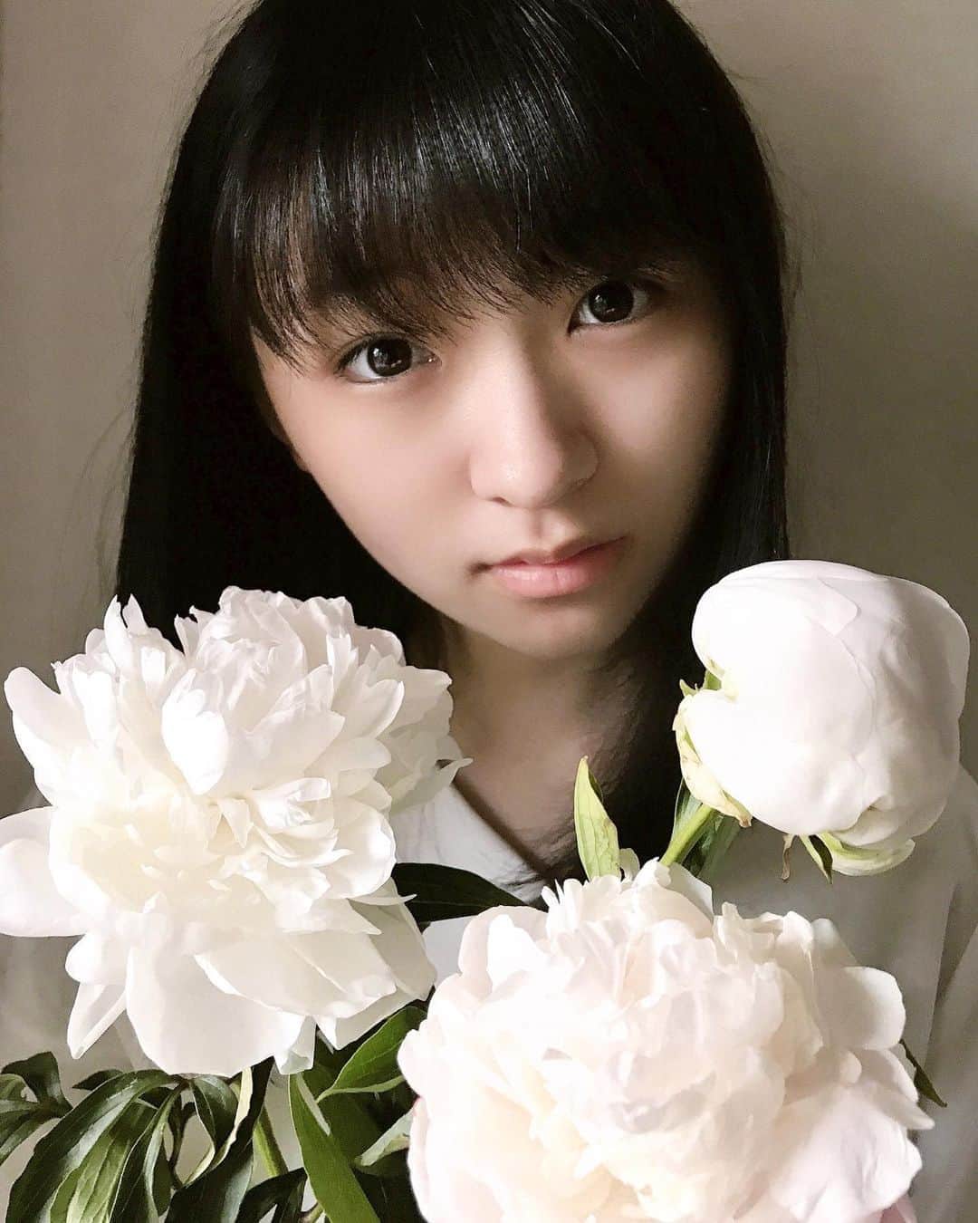 のインスタグラム：「1週間前に買った芍薬(シャクヤク)の花がここまで咲きました！ 買った日は3輪とも蕾だったのですが、翌日には1輪が開きはじめました(2枚目)。 2日おきに毎朝写真を撮っています。 だんだん花が開いているのわかるかな🌱 あと数日で3輪目も開いてくるか楽しみです✨ ・ ・ #芍薬 #シャクヤク #ピオニー #白い花 #ピンクの花 #お花のある暮らし #ベランダガーデニング #おうち時間 #前野えま  #paeonia #white #pink #flowers #verandah #gardening #stayhome  #follow #followme #instafollow #instagood #tagsforlikes #tflers #tagsforlikesapp #actor #actress #girl #photography #portrait #portraitphotography」