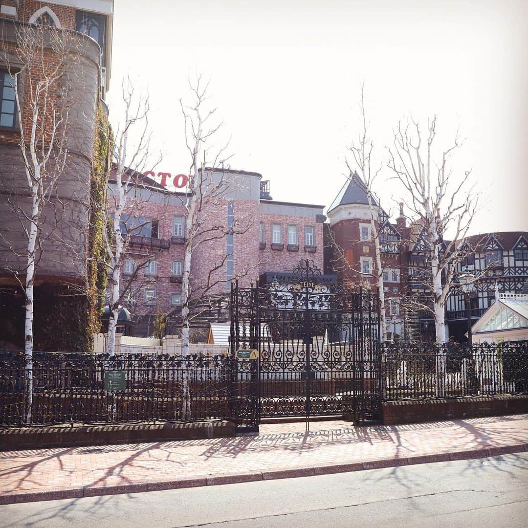 コンサドーレ札幌さんのインスタグラム写真 - (コンサドーレ札幌Instagram)「4月初旬の白い恋人パークです﻿ コンサドーレ事務所側から道路を挟んで撮影📸﻿ この頃はまだ木に葉がついていませんでしたが、そろそろ葉がついた頃でしょうか❓﻿ 春夏秋冬、様々な角度から見ることで違った魅力を感じることができそうです😌﻿ ﻿ #全道一丸で乗り越えよう﻿ #consadole #コンサドーレ﻿ #北海道　#HOKKAIDO﻿ #白い恋人パーク #ISHIYA」5月22日 13時38分 - hokkaido_consadole_sapporo