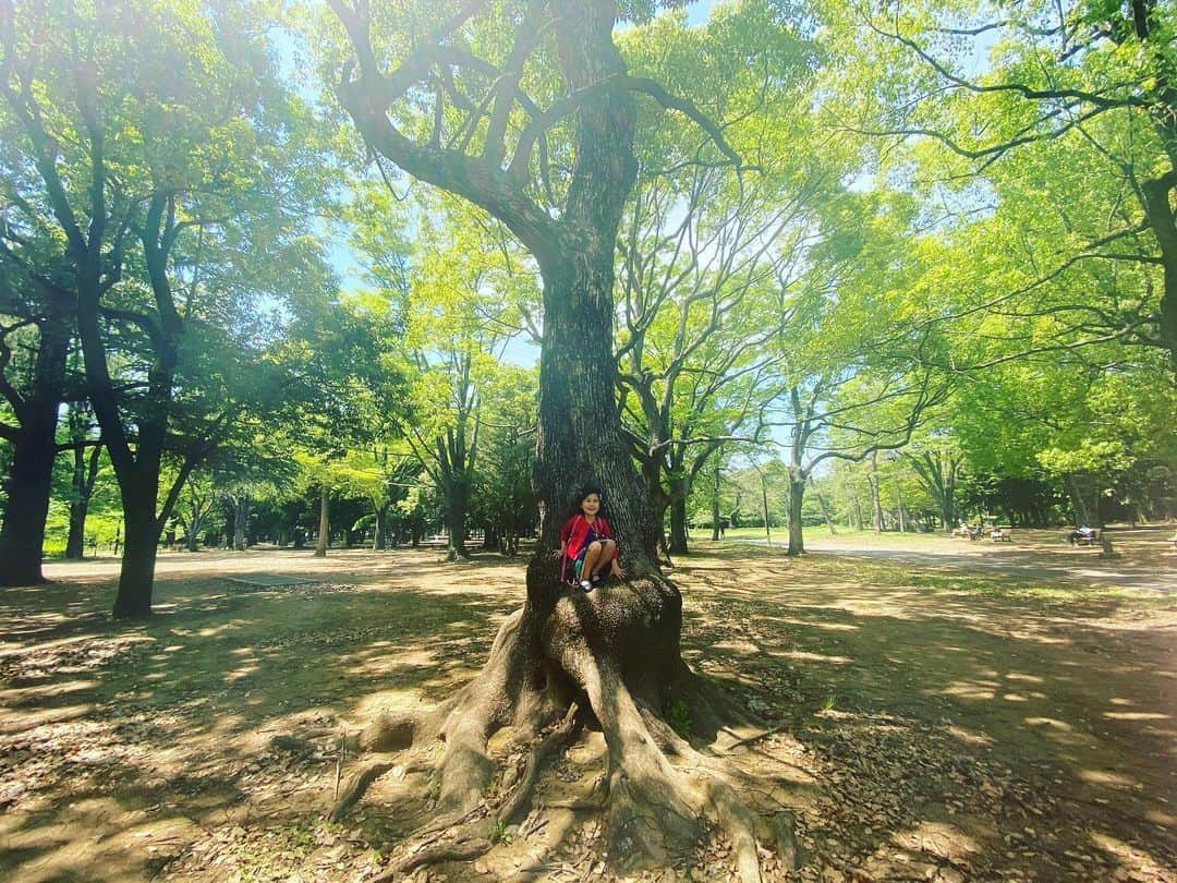 橋本麗香のインスタグラム：「お日様がすき🧡 自然がすき🌏 ． 不足する事で今までに感謝出来る。 常に感謝出来たら良いのに… つい忘れがち😅 ． 私は子から学び 子は親から学ぶ 常にお互いのエネルギーや知識、感性 を循環させているんだと 日々感じる今日🙏🏻 ． #いつかの晴れた日🌳 #本能 #理論 #バランス #♻️」