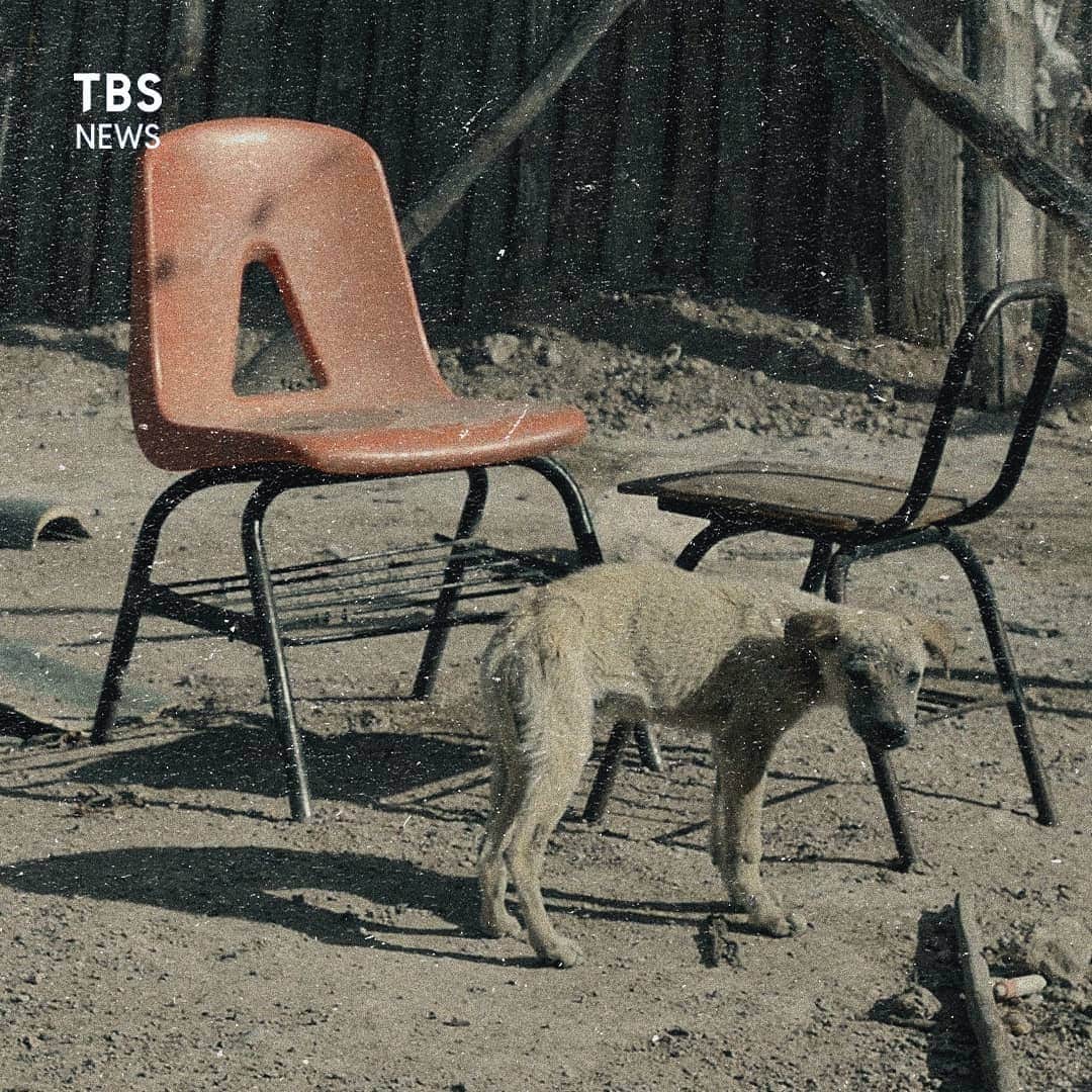 TBS NEWSのインスタグラム