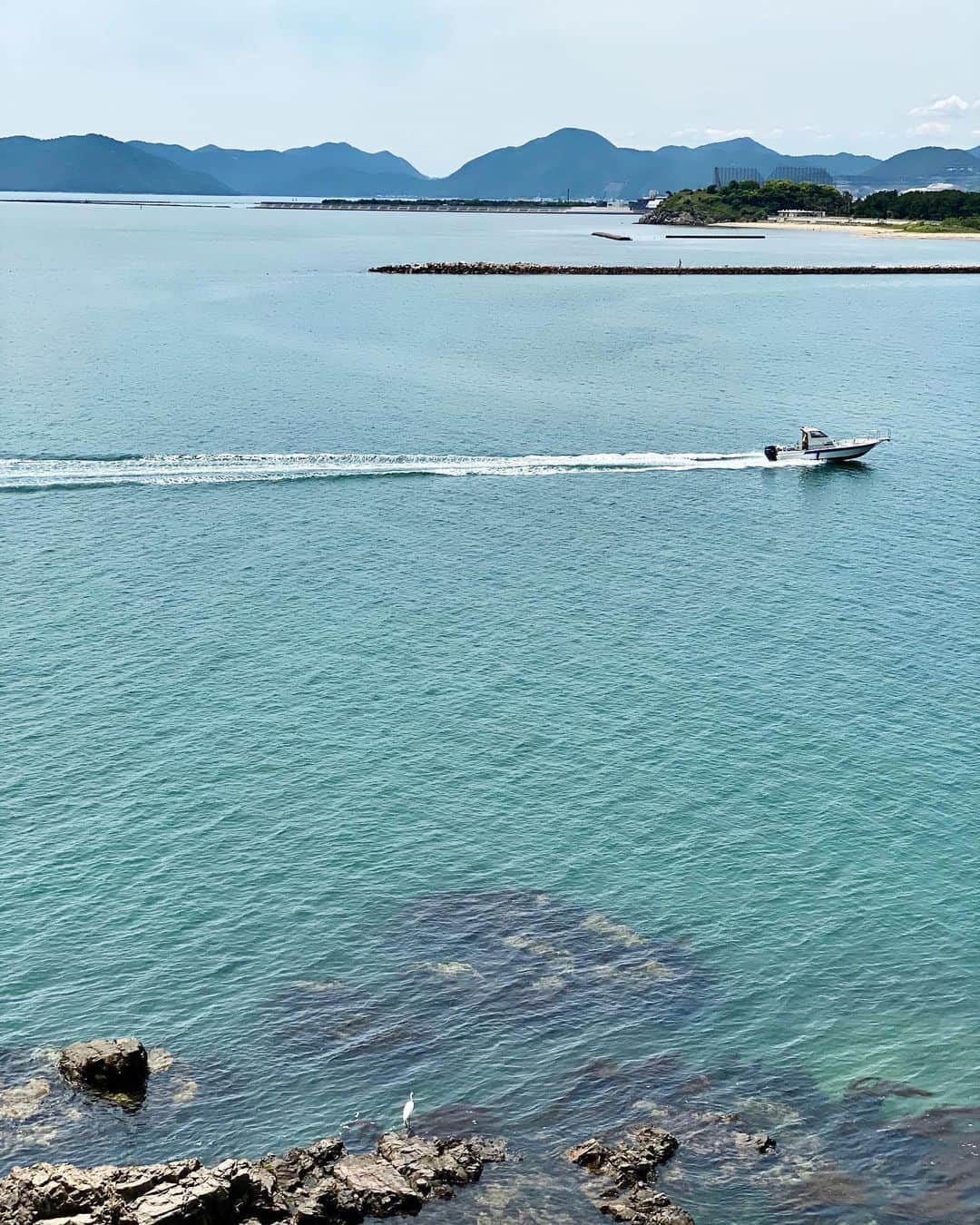 祥吉のグルメインスタ