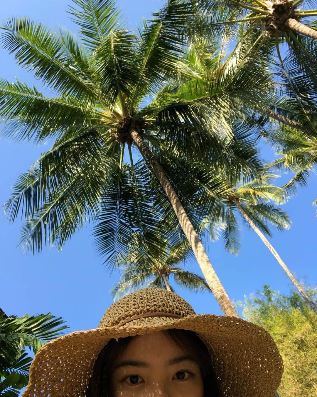 青山舞莉のインスタグラム：「my background photo on my iphone  この写真がミーの携帯のバックグラウンドだよ〜　 南国大好き人間だから🌴ヤシの木をみてると落ち着く #ミーの毎日」