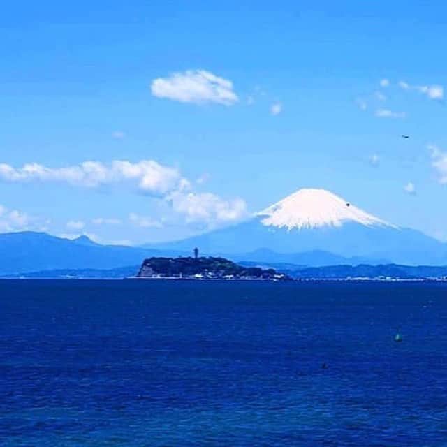 リストランテAO[公式]?イタリアン(青山店/逗子店)のグルメインスタ