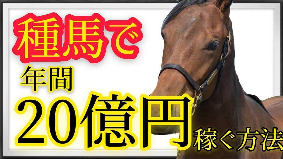 サカモト'sのインスタグラム：「【お金のこと】レースで稼げなくても落ち込むな！〜2つの意味で穴を狙え〜 #馬YouTuber #そんな時代 #ビジネス系YouTuber #アーネストホース #TANEUMANTV #種で稼ぐ方法 #オンラインサロン #現役時はGⅢ #淡々と話す #わかりやすい #馬もお金のことが大事 #サムネイル #オープニング」