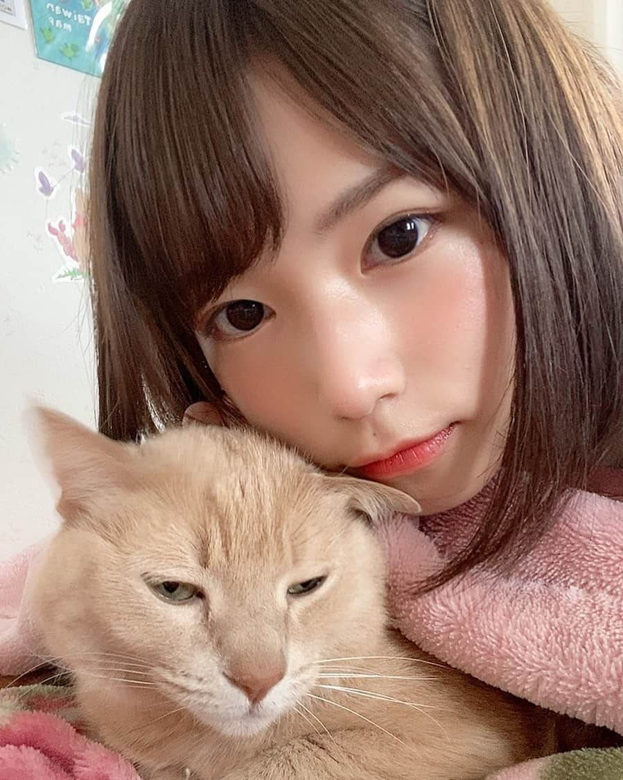 村上りいなさんのインスタグラム写真 - (村上りいなInstagram)「かわいいやつだ。  #instagood #followme #cat #cute  #love #猫のいる暮らし #猫　#可愛い」5月22日 15時32分 - riina_murakami