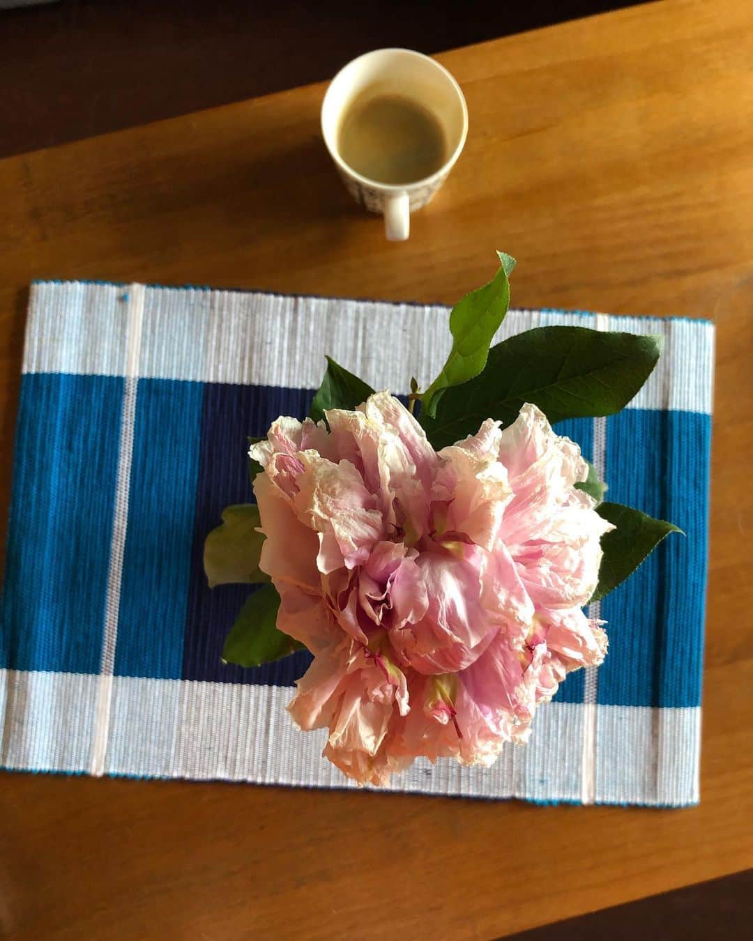 やついいちろうさんのインスタグラム写真 - (やついいちろうInstagram)「Coffee&Flower」5月22日 15時30分 - yatsuiichiro