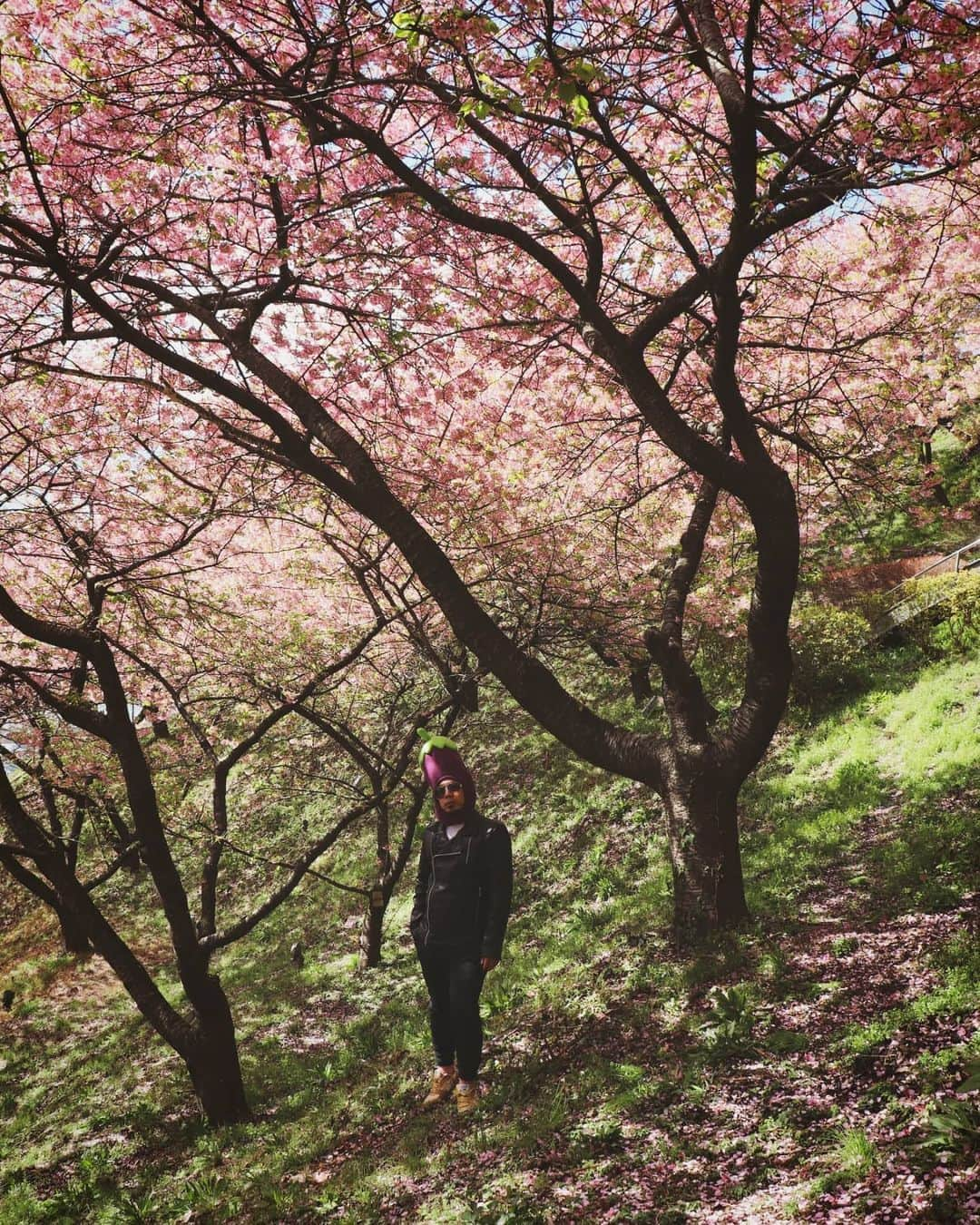 川原克己 さんのインスタグラム写真 - (川原克己 Instagram)「【なすびくんの妄想5.7.5】〜広島編〜 . . . ビンタ見て 時間気になる メヒアかな . . . 菊池『ジャンピングビンタや！』 . 誠也『イタッ、そんな角度からくるとはさすがです！』 . メヒア『ビンタサレタトキ、ナンジデシタカ？』 . #お花見 #なすびくん」5月22日 15時42分 - tenjikunezumikawahara