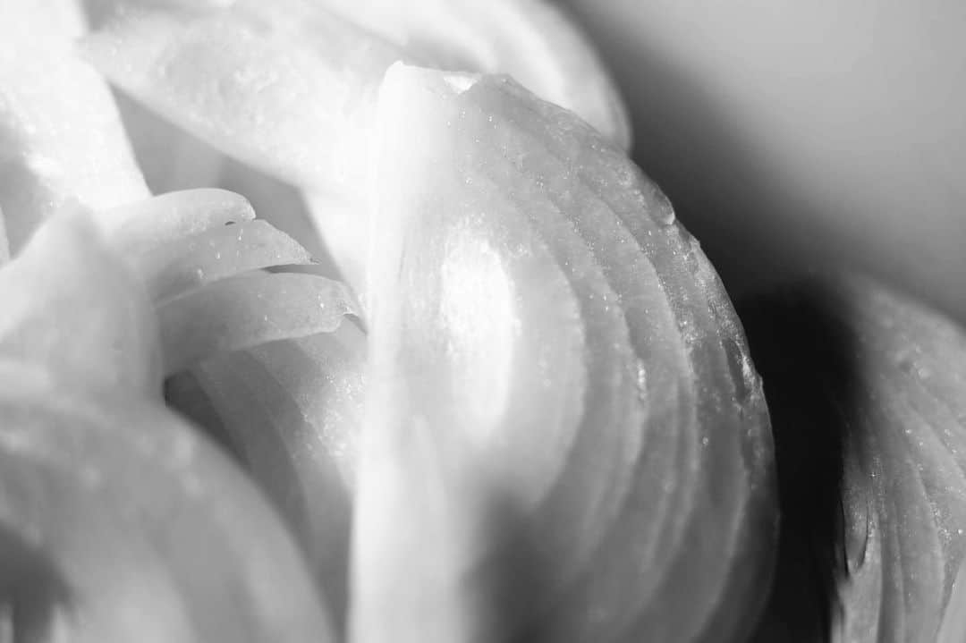 のインスタグラム：「野菜を切ったの。 #料理中です  #photography #photographer #artwork #notart #nikondf #nikkor55mmmicro @nikonjp」