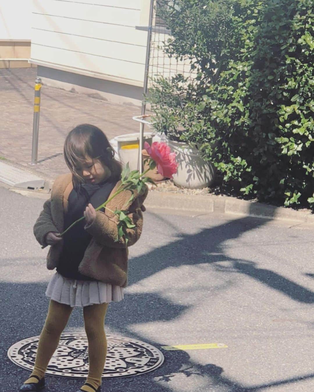 坂本美雨さんのインスタグラム写真 - (坂本美雨Instagram)「ある日の芍薬と #今日のなまこちゃん  #4歳9ヶ月」5月22日 18時18分 - miu_sakamoto