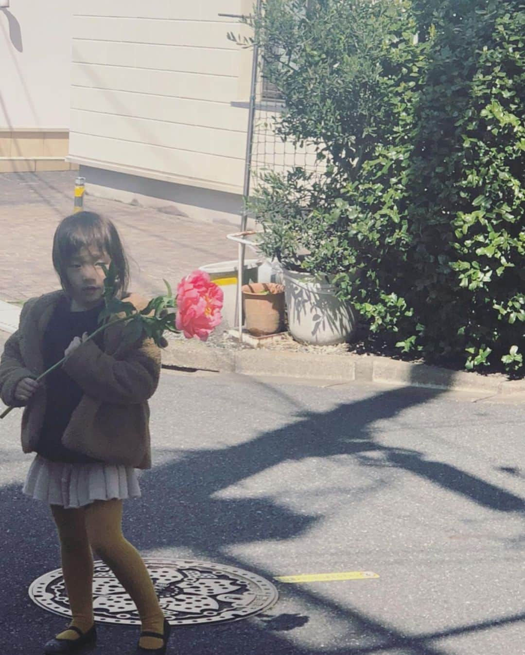 坂本美雨さんのインスタグラム写真 - (坂本美雨Instagram)「ある日の芍薬と #今日のなまこちゃん  #4歳9ヶ月」5月22日 18時18分 - miu_sakamoto