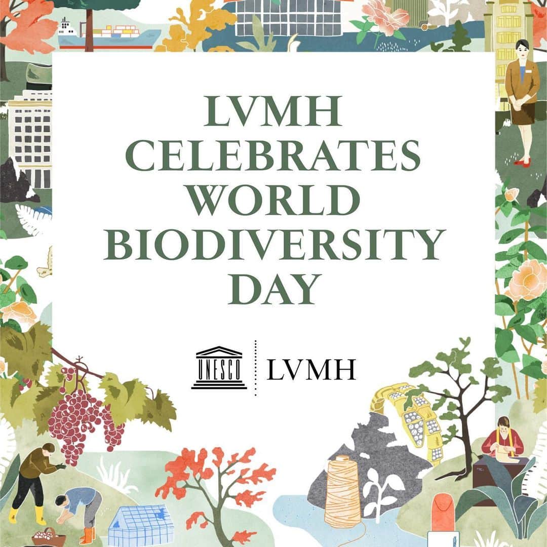 LVMHさんのインスタグラム写真 - (LVMHInstagram)「#BiodiversityDay x #LVMH “Nature is the source for the creation of our products. It is our duty to protect it: committing to the preservation of biodiversity is one of the strategic pillars of LVMH’s environmental program LIFE.” Antoine Arnault, Member of the LVMH Board.  With the global upheaval triggered by the Covid-19 crisis, LVMH and its Maisons are more determined than ever to pursue initiatives to preserve the environment.  In this context and in conjunction with the International Day for Biological Diversity, the Group reaffirms its commitment to sustainable development alongside UNESCO, its partner since 2019 to support the Man and Biosphere (MAB) program.  Learn more: link in bio.」5月22日 18時26分 - lvmh