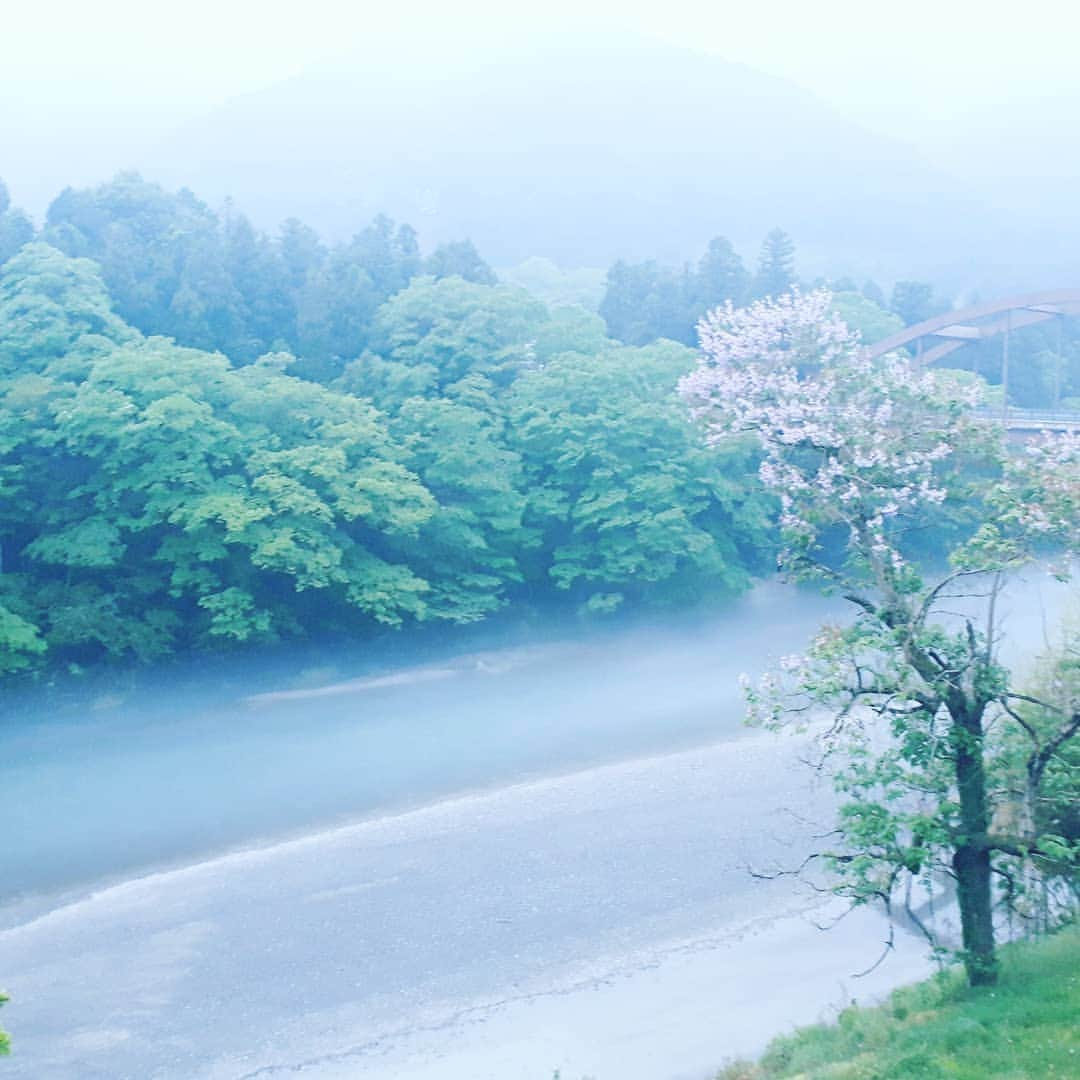 岩下尚史さんのインスタグラム写真 - (岩下尚史Instagram)「. 先週来の雨つゞきで、武蔵御岳の霊山も雲霧に隠れ、そうでなくてもふさぎがちな心晴れやらず、うすら寒さに桐火桶を引き寄せれば、なつかしい、ゆかしい人たちの面影が去来して、この先の、おたがいの無事を祈らずには居られません。 . . 奥多摩峡谷 .」5月22日 18時20分 - iwashita_hisafumi