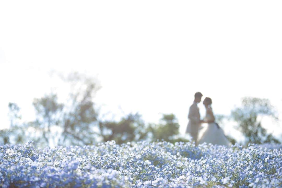 RECUERDO（レクエルド）のインスタグラム：「#前撮り #洋装前撮りロケーション  #recuerdo  #結婚式準備 #ウエディングフォト #日本中のプレ花嫁さんと繋がりたい #2020秋婚 #2020花嫁 #関西花嫁 #プレ花嫁 #ロケーションフォト #ネモフィラ」