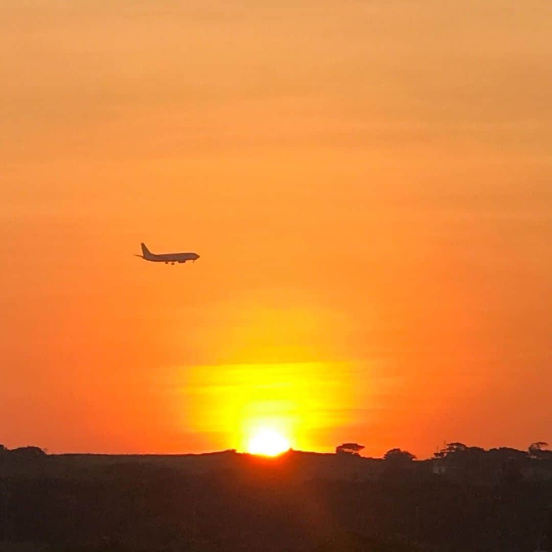 大阪ウシ子のグルメインスタ