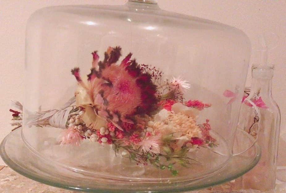 茜さやさんのインスタグラム写真 - (茜さやInstagram)「今年も去年も一昨年も 頂いたお花が増えていくのが嬉しい🌼  #フリー素材モデル #茜さや #akanesaya #japanesekawaii #japanesemodel #japangirls #make #メイク#ファッション　#disney」5月22日 19時02分 - saya.akane