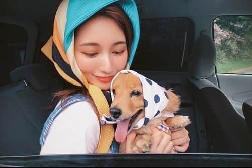 のインスタグラム：「🦩🌵🦩🌵」