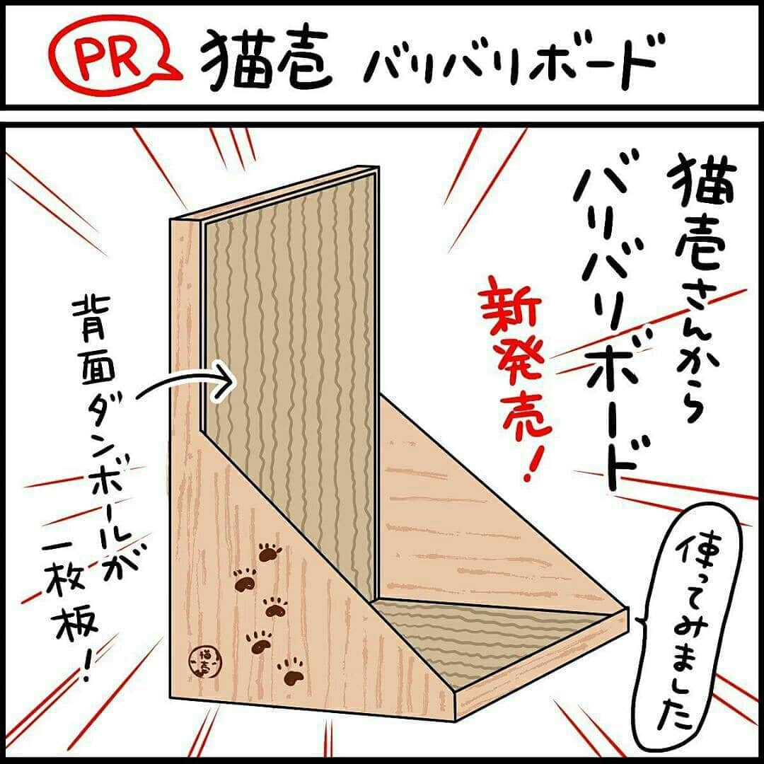 猫壱（ねこいち•ネコイチ）のインスタグラム