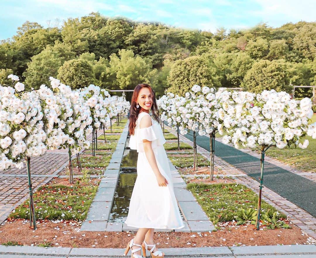 AMIのグルメインスタ