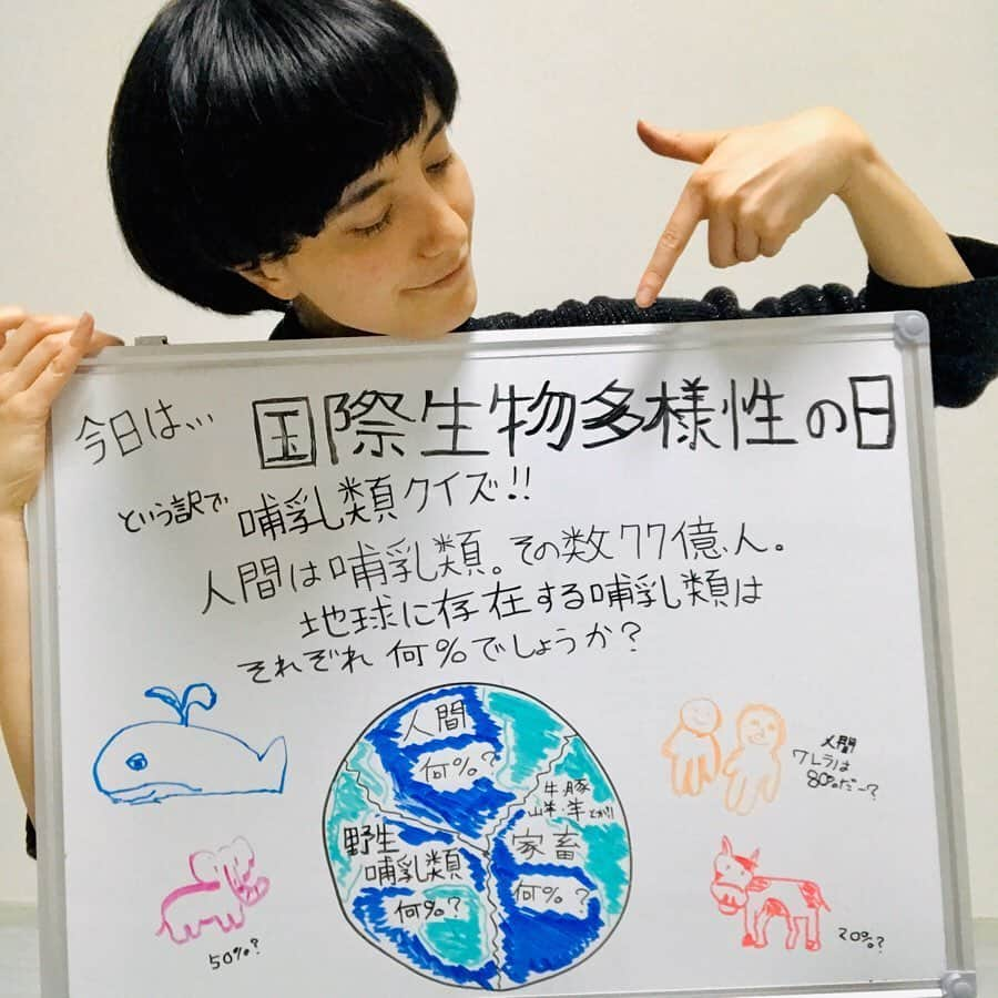 小野りりあんさんのインスタグラム写真 - (小野りりあんInstagram)「HAPPY World’s Diversity Day！！﻿ 珍しく1日2回投稿です^_^﻿ ﻿ 🐬77億人のワレラは、全生物の0.01%なのに文明が発達し始めて以来、83%の野生生物を失った原因である﻿ ﻿ 🐓地球に存在する鳥の70％が家畜で30%が野生﻿ ﻿ 🐅野生動物の半分はこの50年以内で失われた﻿ ﻿ 🌏科学者たちが今は第六絶滅期にいると警告(第5絶滅期は恐竜時代🦕🦖)﻿ ﻿ ソースは、2年前の @guardian の記事。﻿ “Humans just 0.01% of all life but have destroyed 83% of wild mammals – study”﻿ て検索すると詳しく読めるよ🤓 ﻿ クイズの2枚目以降は﻿ いつも気候のための投稿を金曜日にしてる﻿ ステキなアーティスト　@moe_koyano ちゃんに﻿ 描いてもらいました❣️﻿ ﻿ データをわかりやすく絵で、﻿ アート的伝えていく人が日本にももっと増えてほしい❣️﻿ ﻿ もえちゃんありがとう！﻿ そして、今の社会が﻿ どれだけ生物がアンバランスか﻿ わたし自身衝撃だったし、みんなにも﻿ 自分が住んでる🌏のバランスが﻿ どんなかわかった方が﻿ より地球のこと考えられるかな？と思った。﻿ ﻿ 人間よりも家畜が多い理由は、それだけお肉や乳製品を消費してるから。  人間はどうあがいても他の沢山の生き物が﻿ 存在しないと生きていけない﻿ ﻿ 木がなかったら綺麗な水はできないし﻿ 何を食べて生きるのかな？﻿ ﻿ 蜂🐝がいなかったら﻿ 本当に困っちゃうよ。﻿ ﻿ 多様な生き物と共に﻿ 仲良く生きれたら﻿ どんなに幸せなんだろう？﻿ ﻿ それが実現できてない﻿ 今の社会システムは﻿ 人にも多様な生き物にも﻿ もっともっと優しく変わっていく必要があるよね。﻿ ﻿ 良くも悪くも﻿ 今まで通りが通用しないくらい﻿ 地球🌏の状況が変化してるから﻿ 少しでも多く良い変化に変えたい﻿ #気候も危機  #climatestrikeonline #環境問題 #生物多様性 #国際生物多様性の日」5月22日 21時03分 - _lillianono_