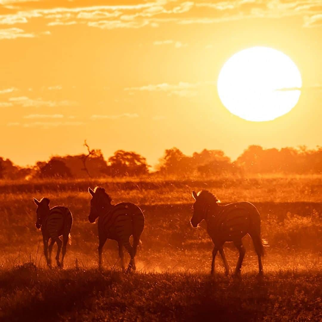 National Geographic Travelのインスタグラム