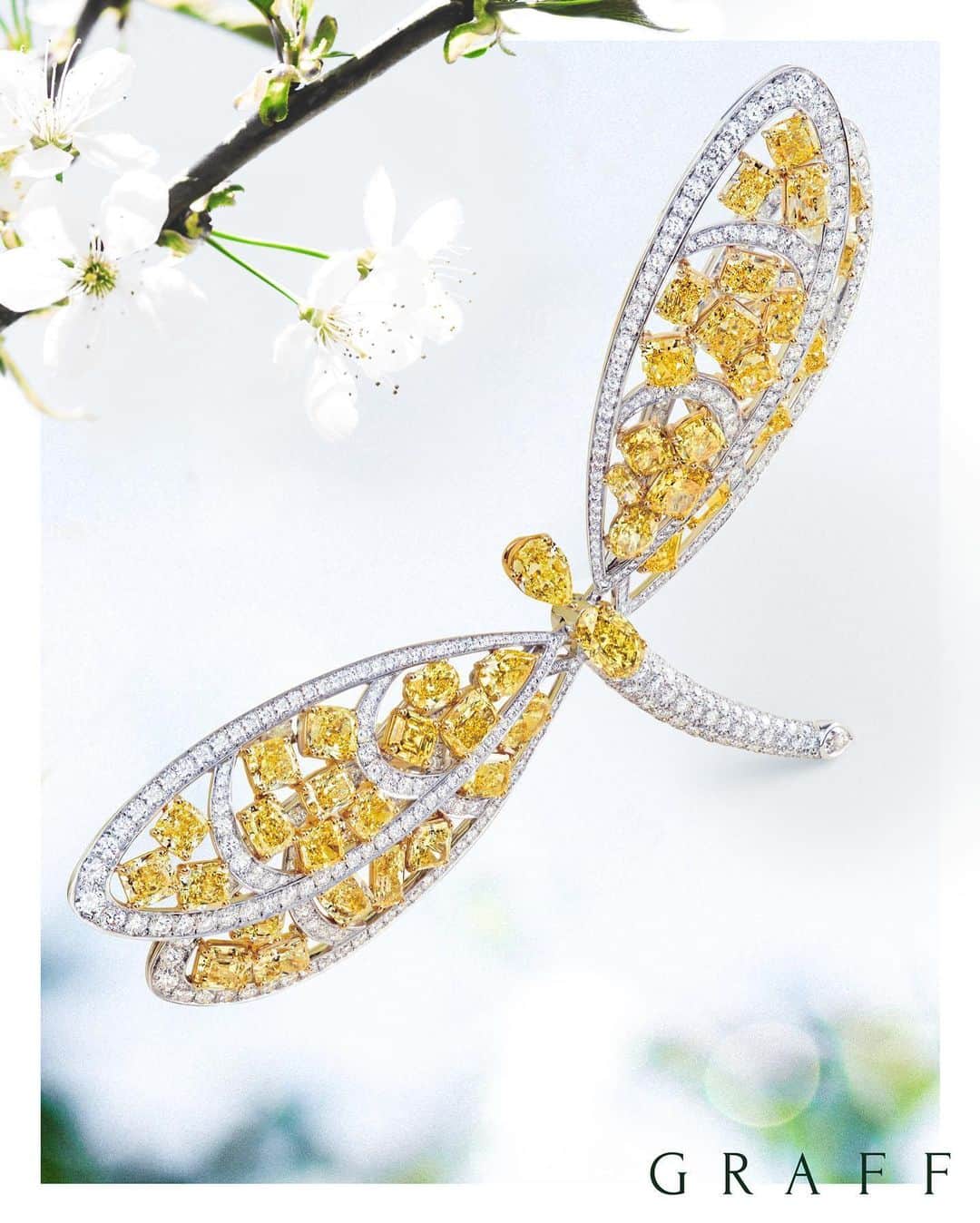 Graffさんのインスタグラム写真 - (GraffInstagram)「Spirit of Spring | Discover Graff's legacy of creating magnificent brooches. 1. A floral design showcasing four exceptional vivid yellow diamonds.  2. The famous 'Hair & Jewel' image commissioned by Mr Graff in 1970.  3. A unique floral brooch from 1980 showcasing an unparalleled collection of vivid pink diamonds.  4. Exquisite figurative brooches are a speciality of Graff.  5. A sculptural floral brooch embracing an incredibly rare collection of coloured diamonds. ⠀⠀⠀⠀⠀⠀⠀⠀⠀ ⠀⠀⠀⠀⠀⠀⠀⠀⠀ ⠀⠀⠀⠀⠀⠀⠀⠀⠀ ⠀⠀⠀⠀⠀⠀⠀⠀⠀ ⠀⠀⠀⠀⠀⠀⠀⠀⠀ ⠀⠀⠀⠀⠀⠀⠀⠀⠀ ⠀⠀⠀⠀⠀⠀⠀⠀⠀ ⠀⠀⠀⠀⠀⠀⠀⠀⠀ ⠀⠀⠀⠀⠀⠀⠀⠀⠀ ⠀⠀⠀⠀⠀⠀⠀⠀⠀ ⠀⠀⠀⠀⠀⠀⠀⠀⠀ ⠀⠀⠀⠀⠀⠀⠀⠀⠀ ⠀⠀⠀⠀⠀⠀⠀⠀⠀ ⠀⠀⠀⠀ #GraffDiamonds #HighJewelry #SpiritofSpring #FallinLoveWithGraff」5月22日 21時22分 - graff