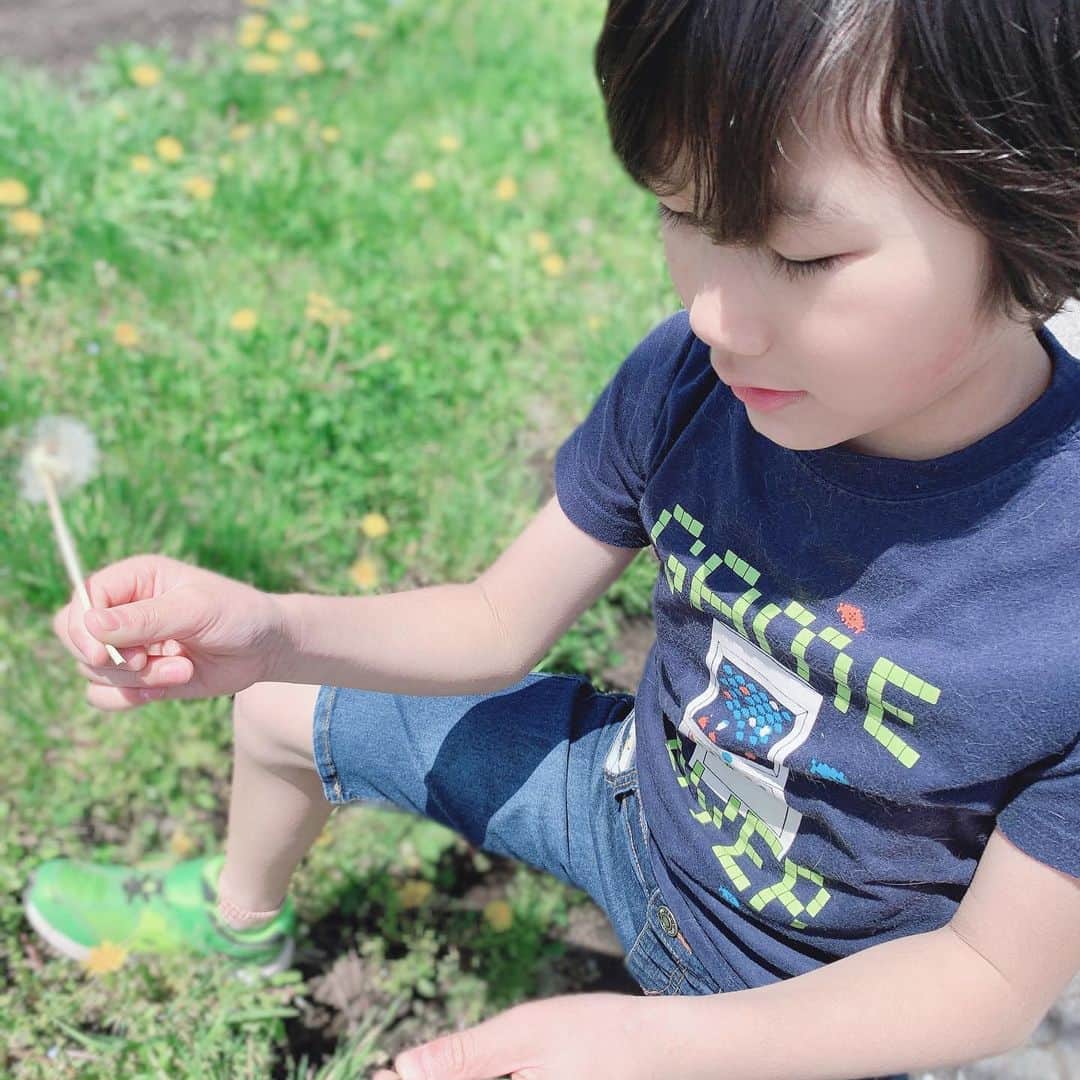 Kids Of Ninjaさんのインスタグラム写真 - (Kids Of NinjaInstagram)「たんぽぽ、フーしました😚 分散登校で新一年生の妹おとちゃんを迎えに行った時の写真です😊 しばらく外に出なかったらたんぽぽ満開になってました😅 . . #子供と散歩 #子供との大切な時間 #きょうの息子 #育児記録 #成長記録 #育児日記 #子育てグラム #ママライフパパママ #インスタキッズ #コドモノ #コズレ #子育て中ママ #男の子ママ #子育てあるある #9歳ママ #兄妹ママ #ママライフカメラ #親バカ部 #スマイル育児 #二月生まれの会 #子どもと暮らす #ワーママ #アラフォーママと繋がりたい #育児アカウント #子供かいる生活 #子供のいる暮らし #ママリ #まますたぐらむ #kodomo #love_kodomo_japan」5月22日 21時25分 - ninjapalette